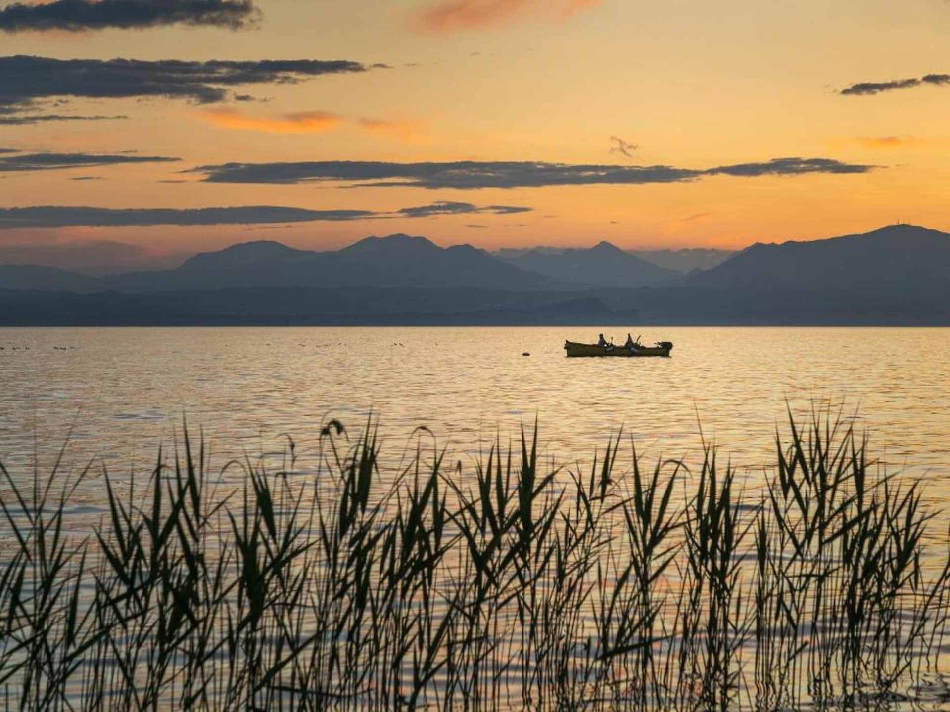 Op 500 m van het meer: sfeervol vakantiehuis in Lazise · 3 pers. - foto 36