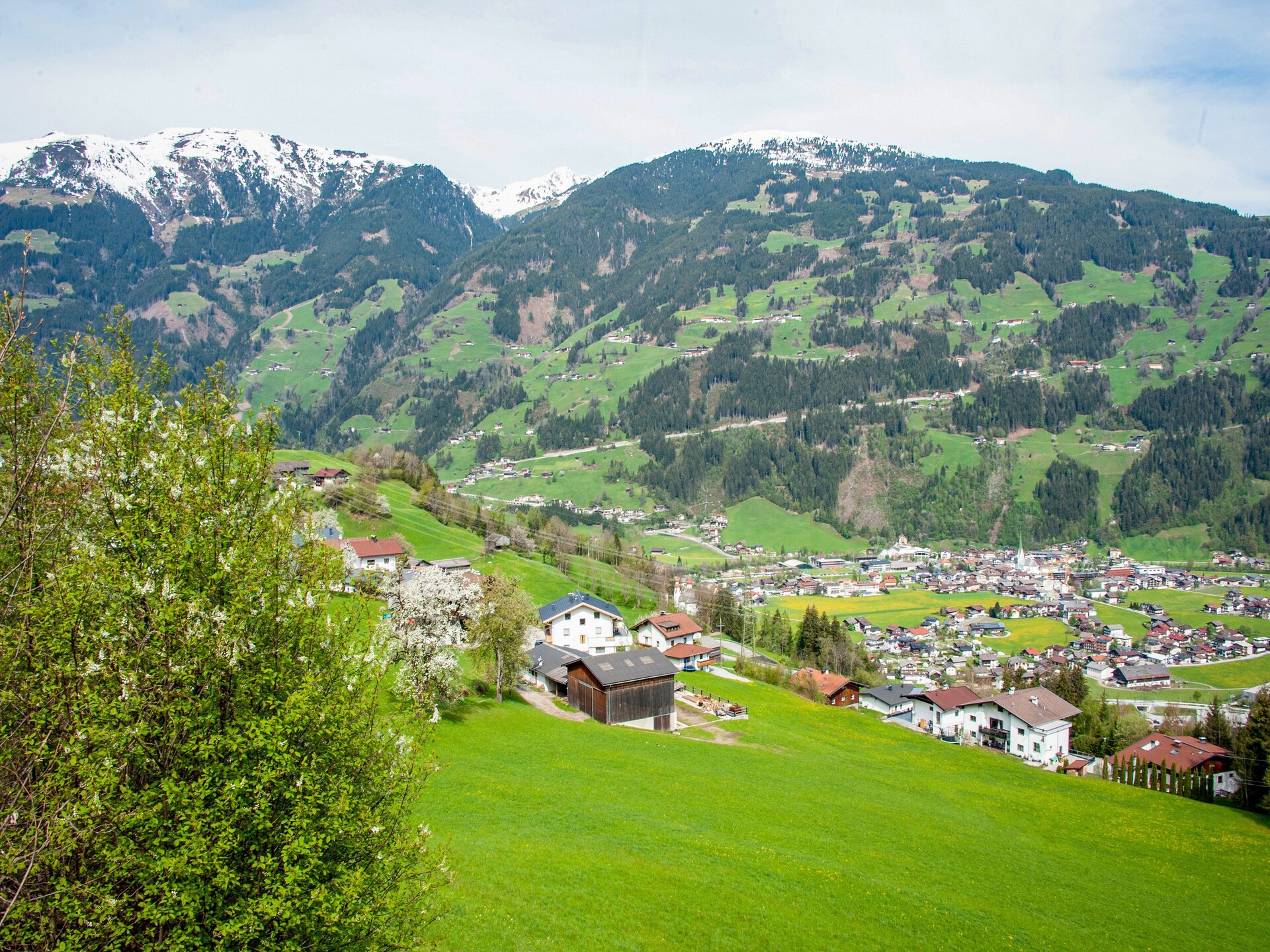 Ruim 4-slaapkamerappartement op werkende boerderij bij Zillertal Arena - foto 26