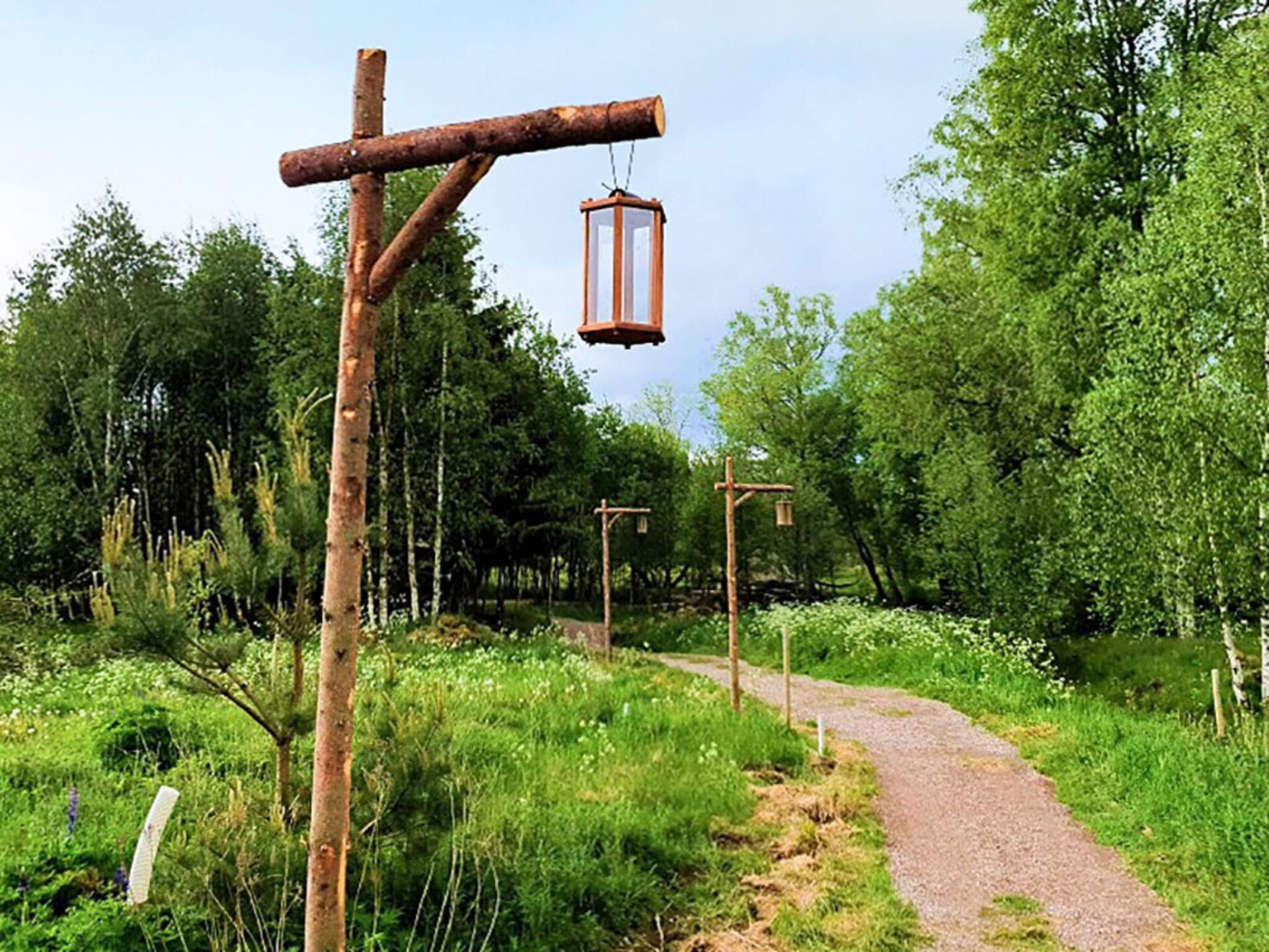 09012 - foto 5