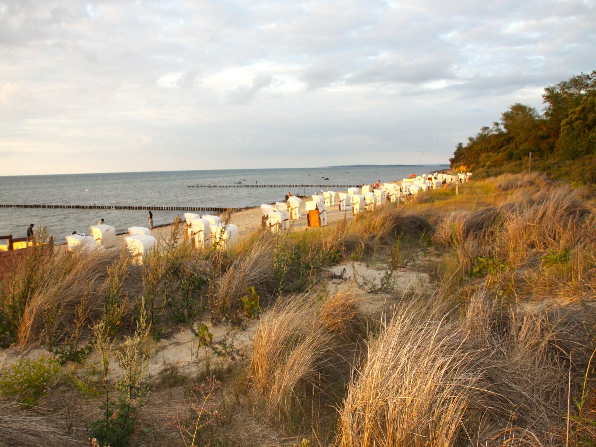 Inselhaus Piet: Gezellig appartement op 150m van zee op Insel Poel - foto 27