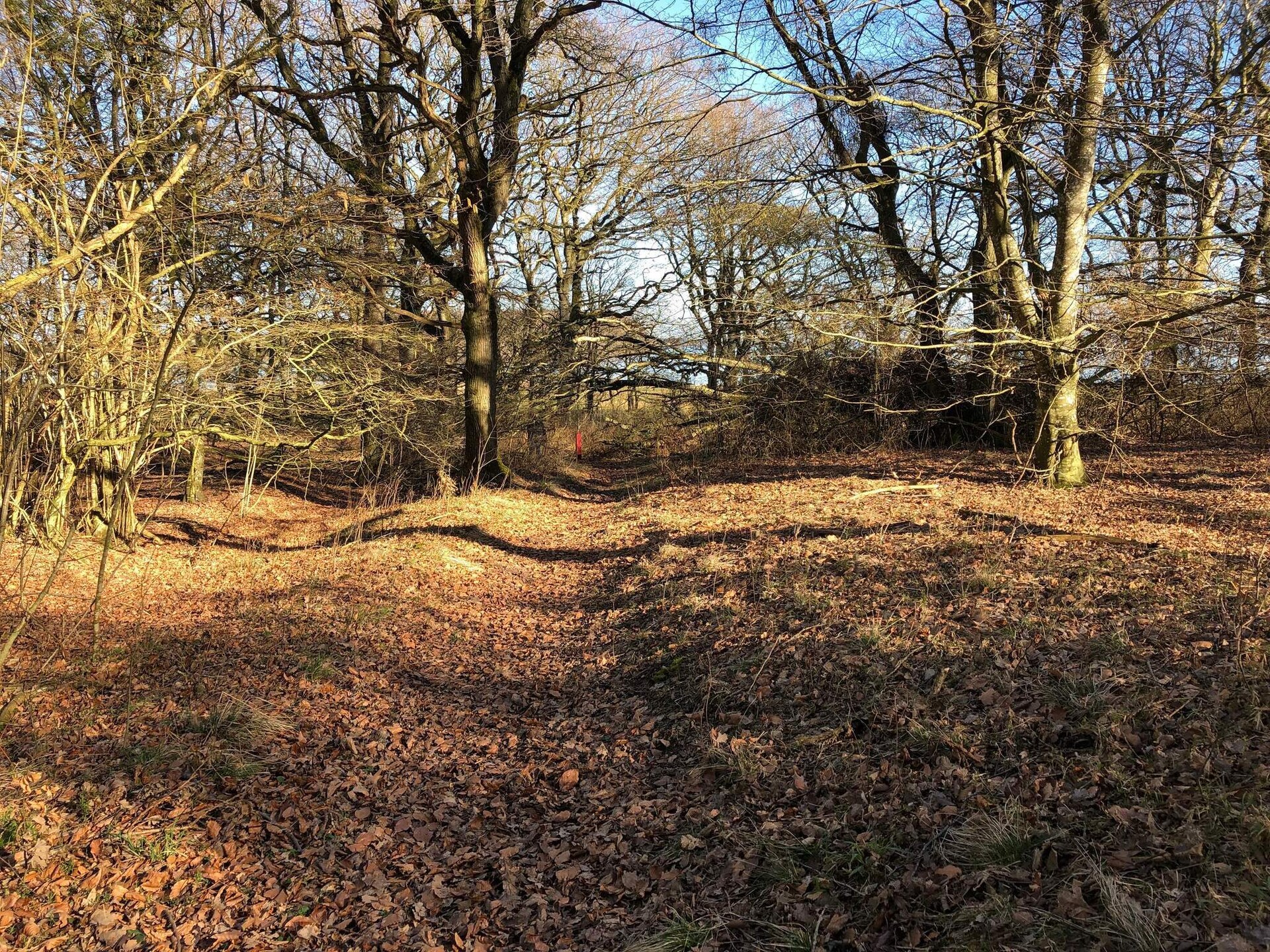 Vrijstaand vakantiehuis bij Roslev met fjorduitzicht, 300m van zee - foto 5