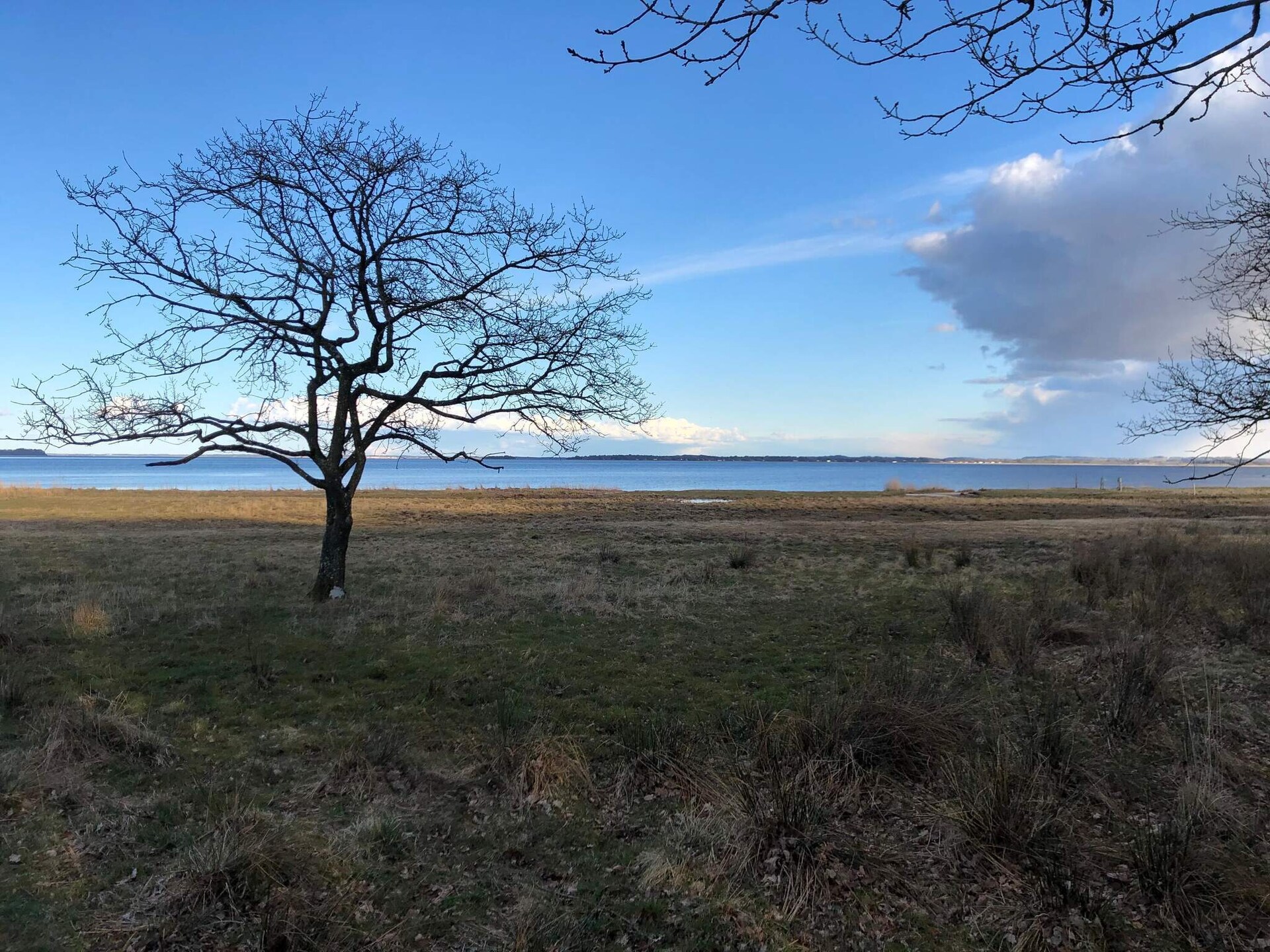 Vrijstaand vakantiehuis bij Roslev met fjorduitzicht, 300m van zee - foto 11