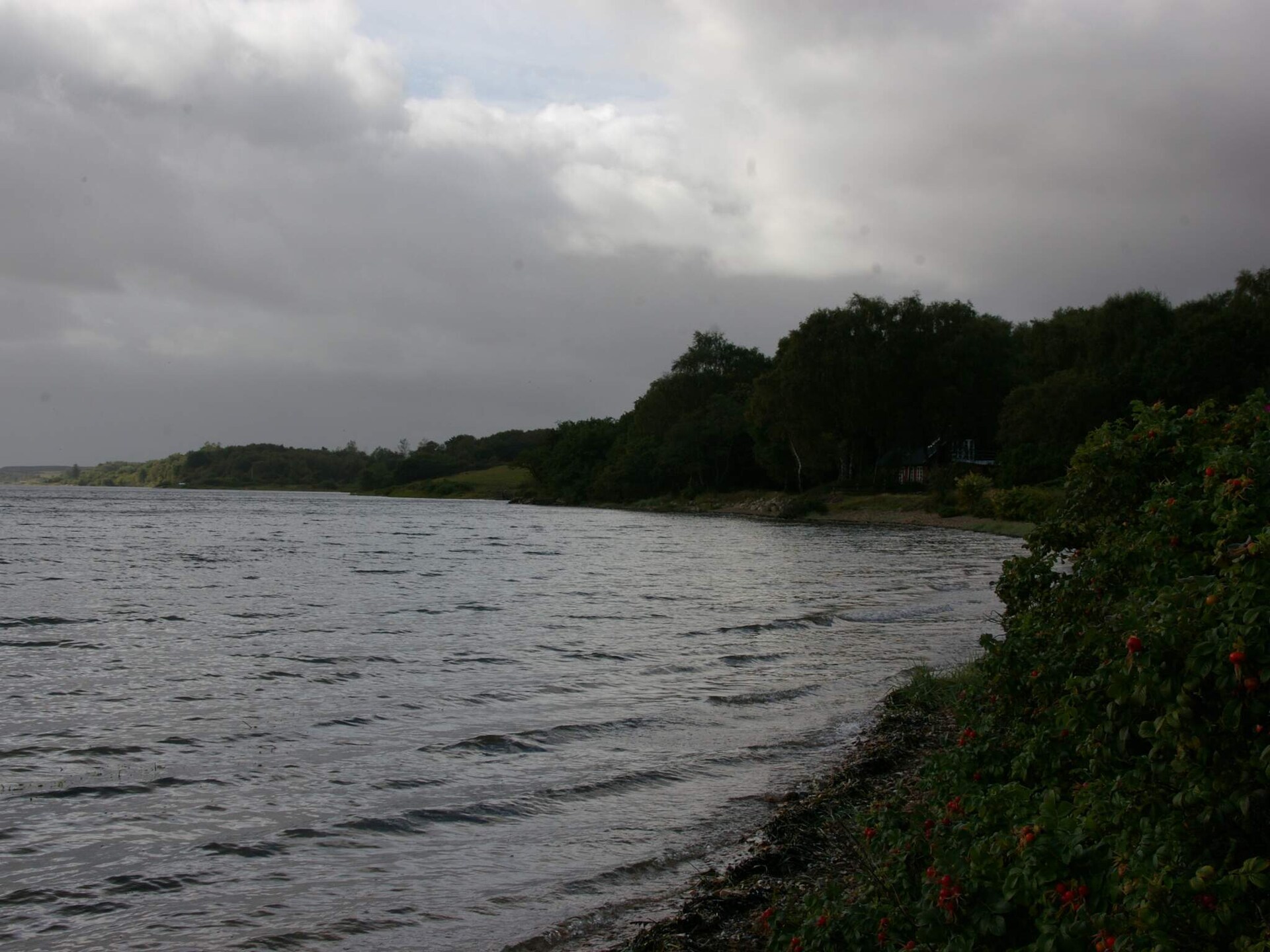 Vrijstaand vakantiehuis bij Roslev met fjorduitzicht, 300m van zee - foto 14