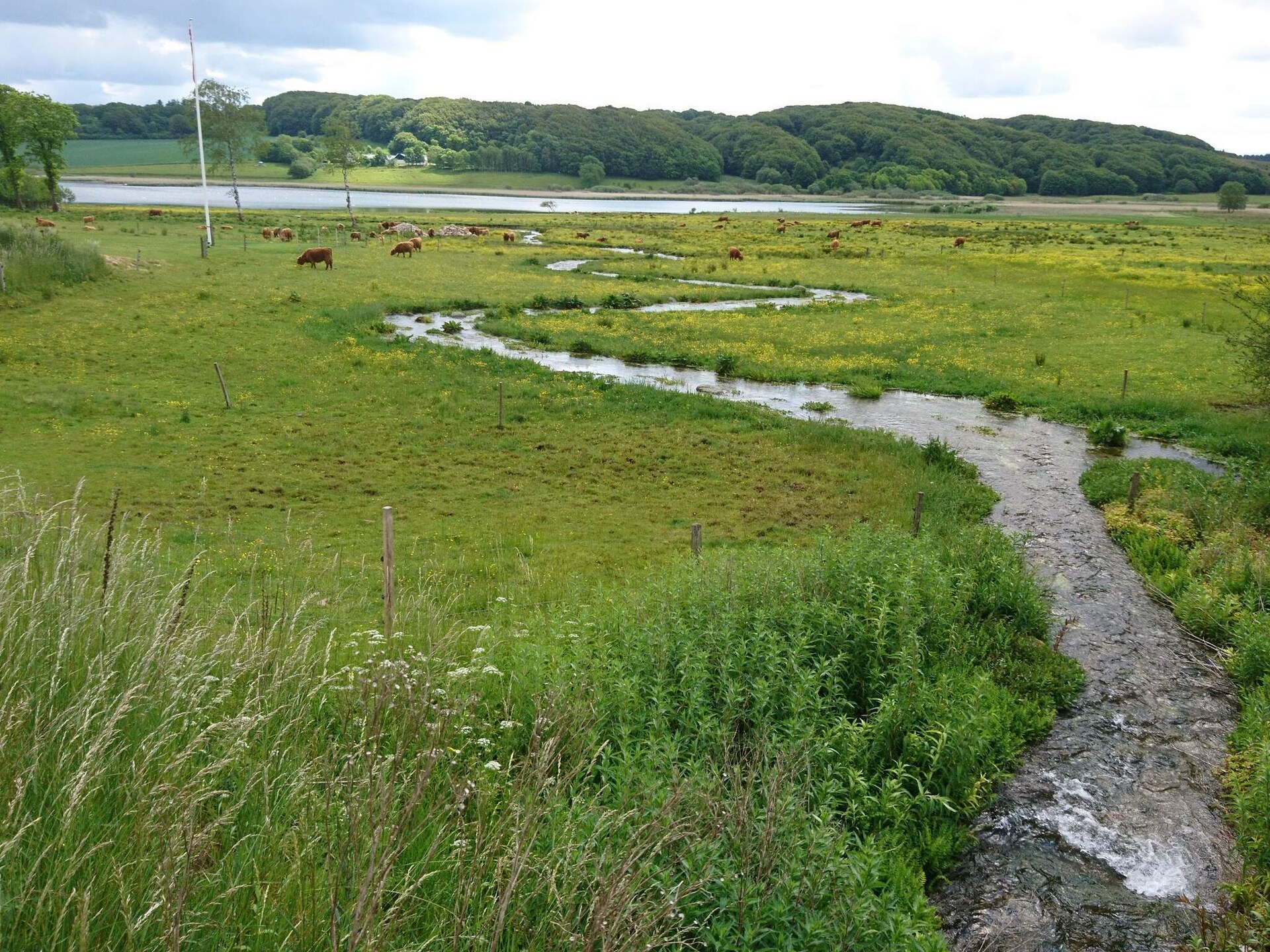 Vrijstaand vakantiehuis bij Roslev met fjorduitzicht, 300m van zee - foto 16