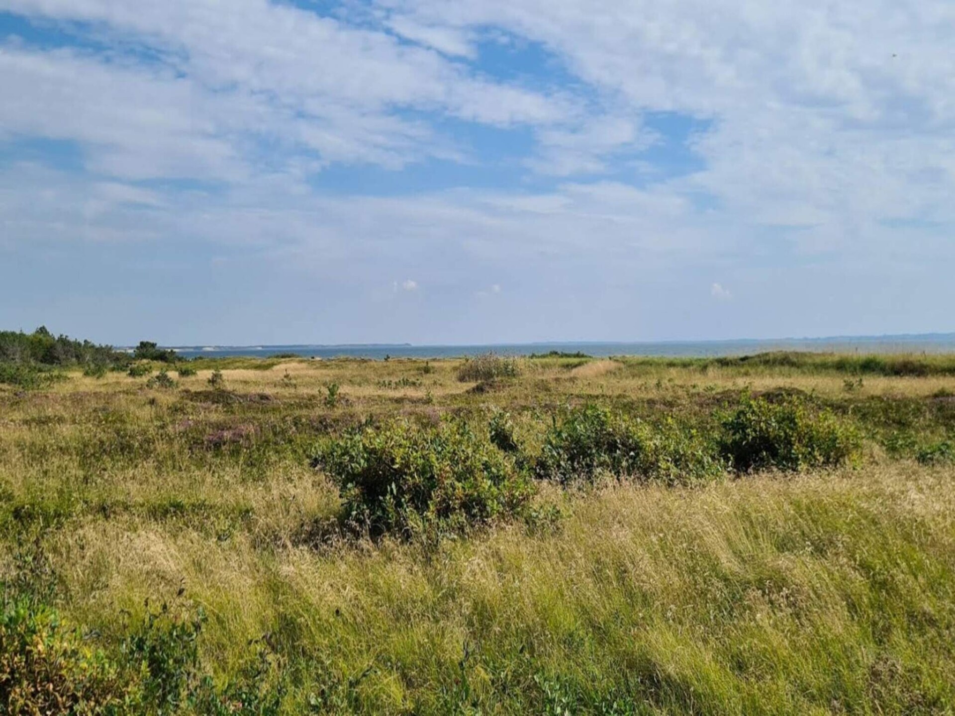 Op 300 m van zee: Gezellig vakantiehuis in Hurup Thy - foto 9