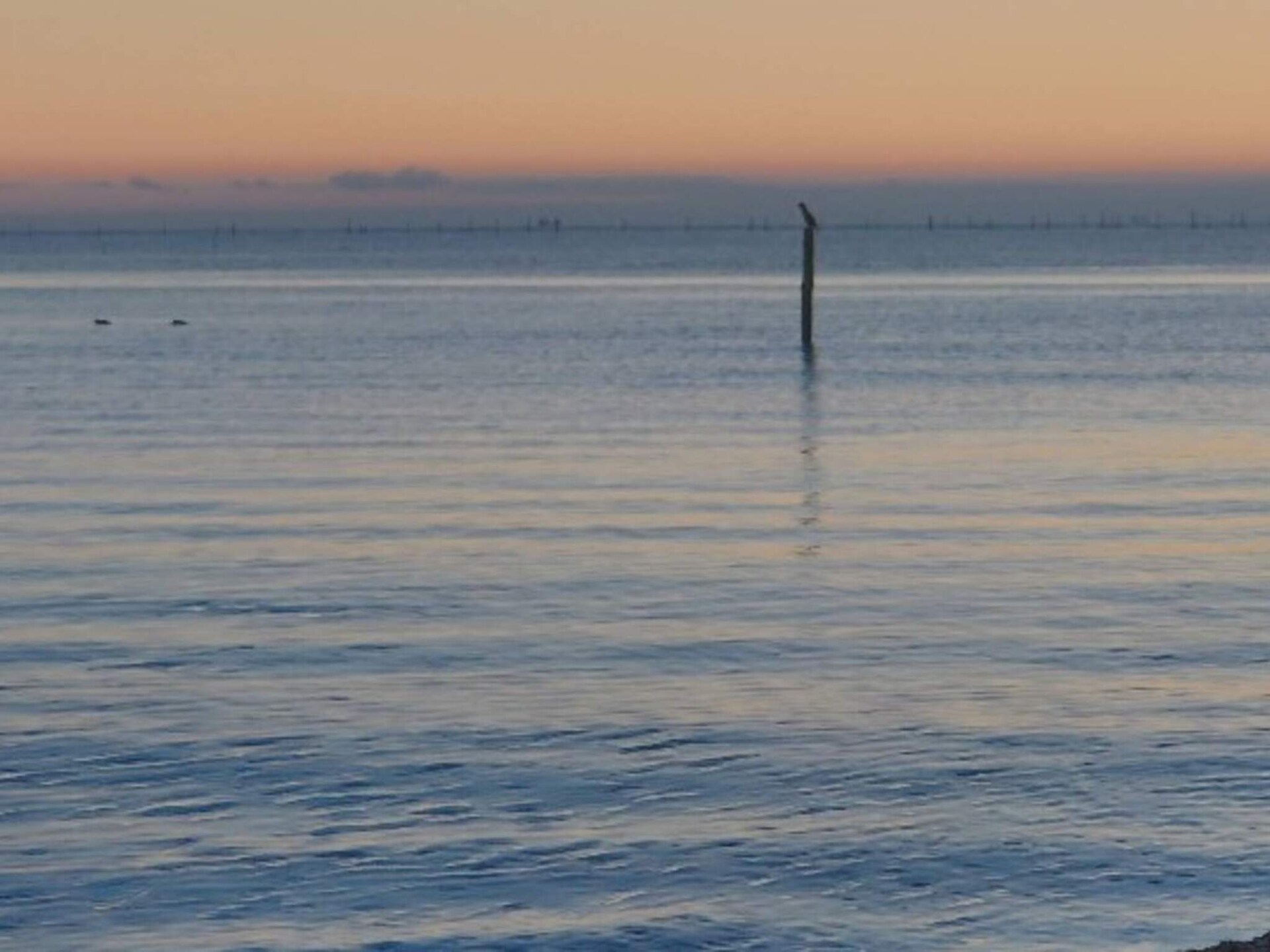 Knus vakantiehuis op 200 meter van de kust bij Faaborg - foto 16
