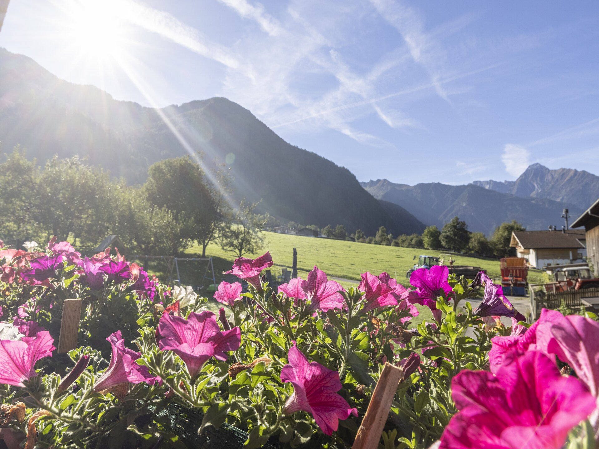 Gerenoveerd groepsverblijf voor 18 personen in Ramsau im Zillertal met wellness - foto 3