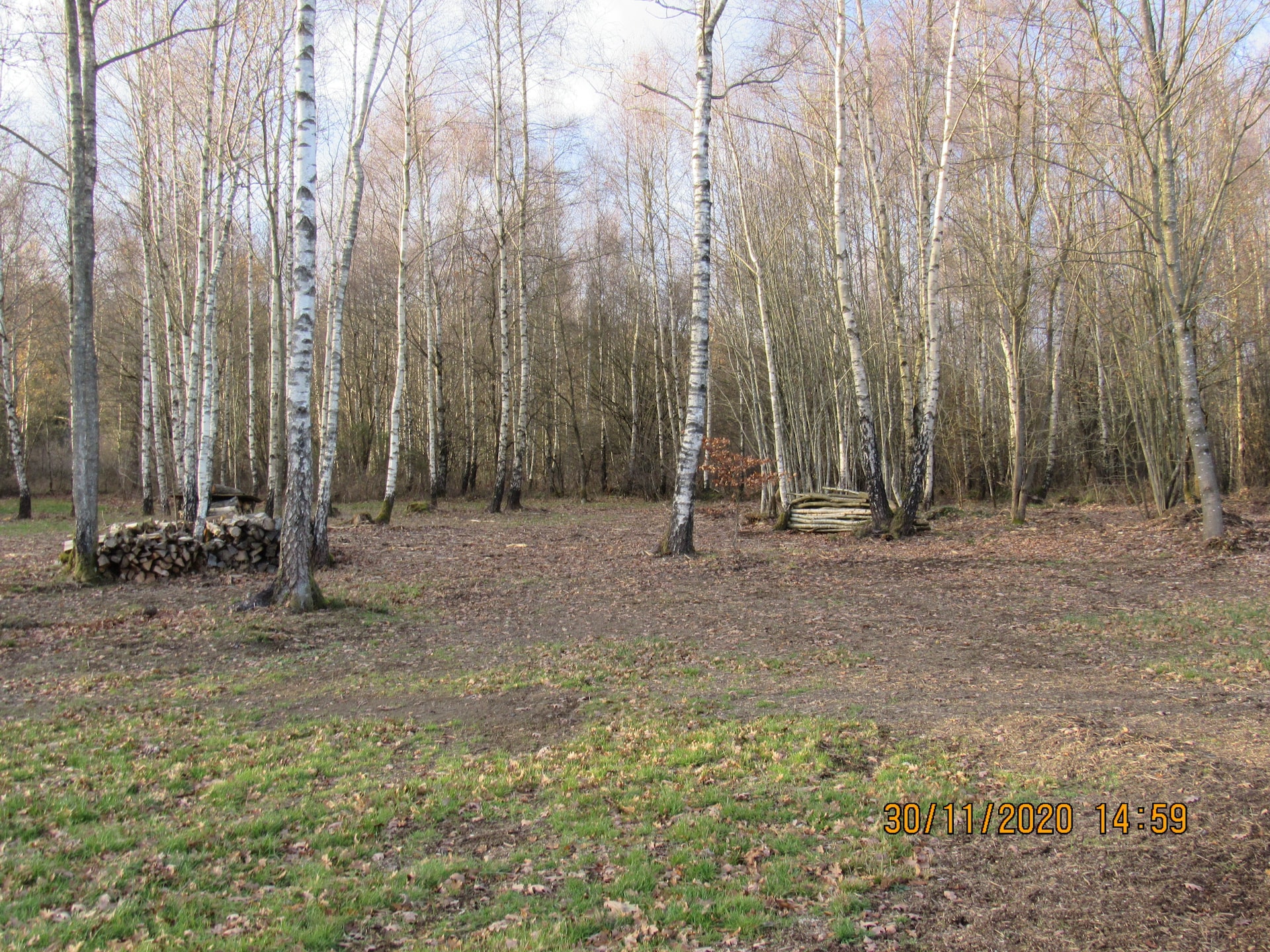 Authentiek 3-persoons chalet met pizza-oven in Tenneville - foto 27