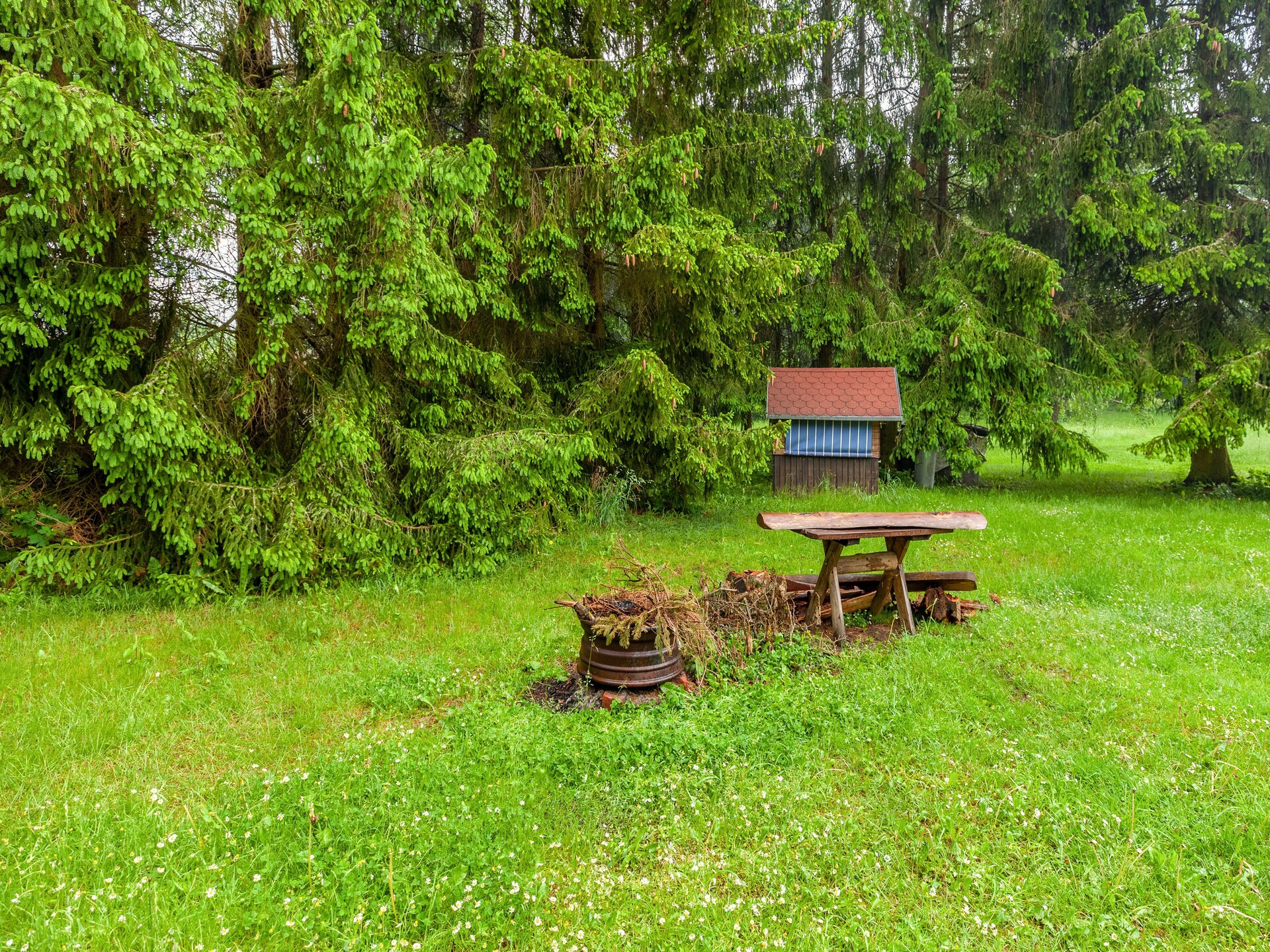 Gezellig appartement in Benneckenstein met tuin, 100m van centrum, Harz - foto 30