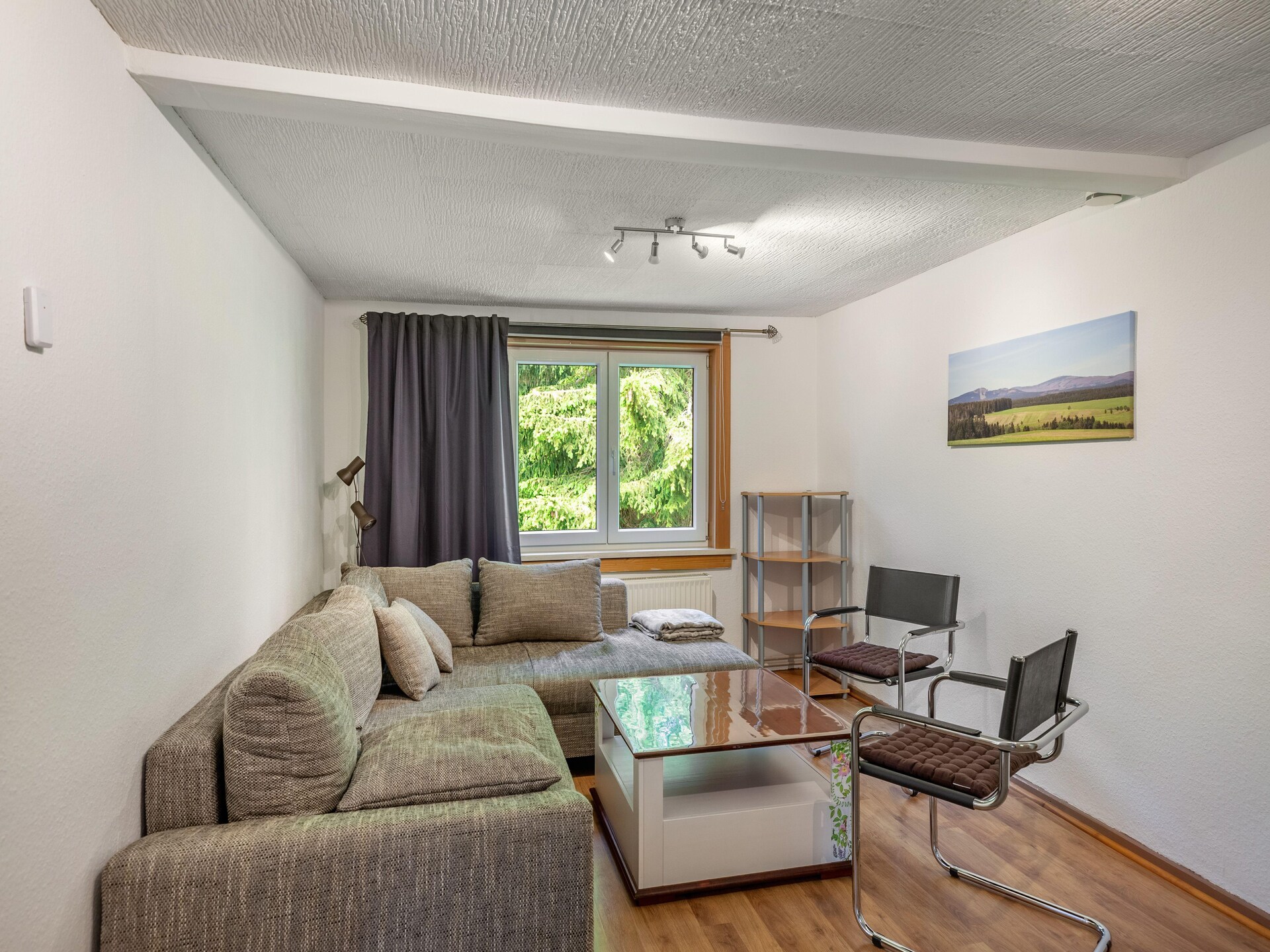 Gezellig appartement in Benneckenstein met tuin, 100m van centrum, Harz - foto 35