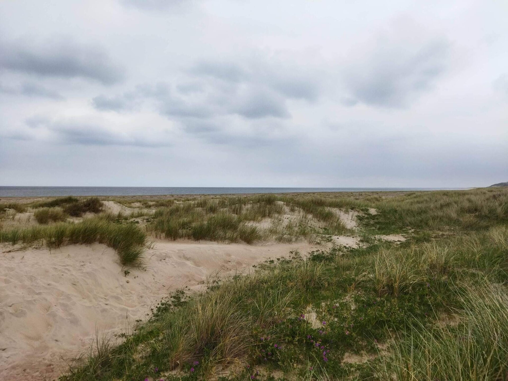 Aan zee: Traditioneel vakantiehuis met sauna in Fjerritslev - foto 4