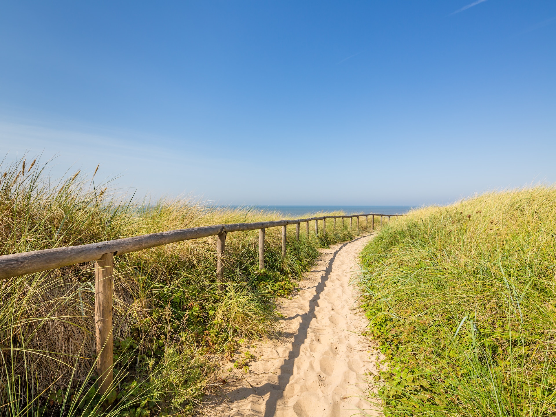 Stijlvol strandappartement in Egmond aan Zee met balkon en zeezicht - foto 14