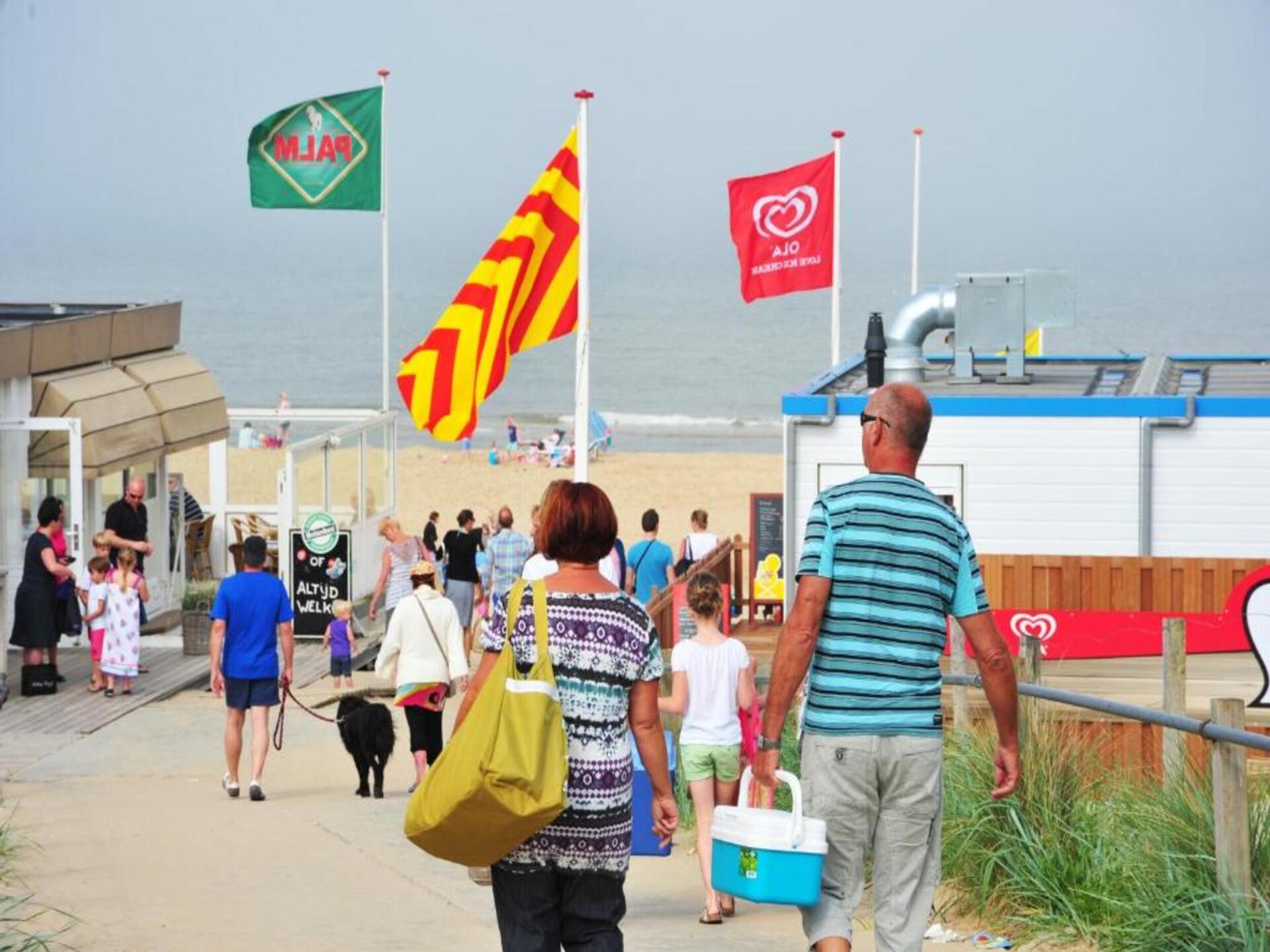 Stijlvol strandappartement in Egmond aan Zee met balkon en zeezicht - foto 27