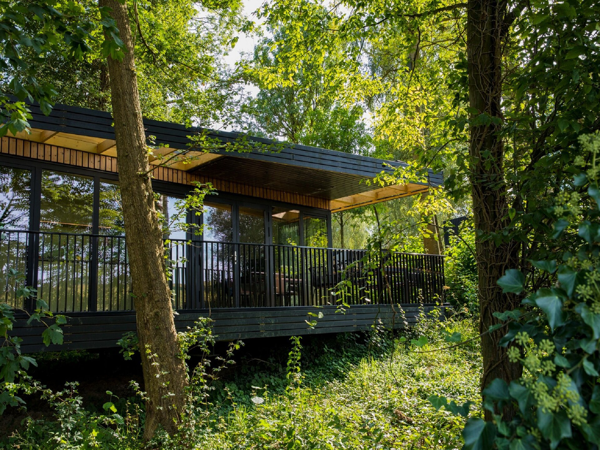 Vrijstaande houten lodge op autovrij vakantiepark in Gulpen - foto 16