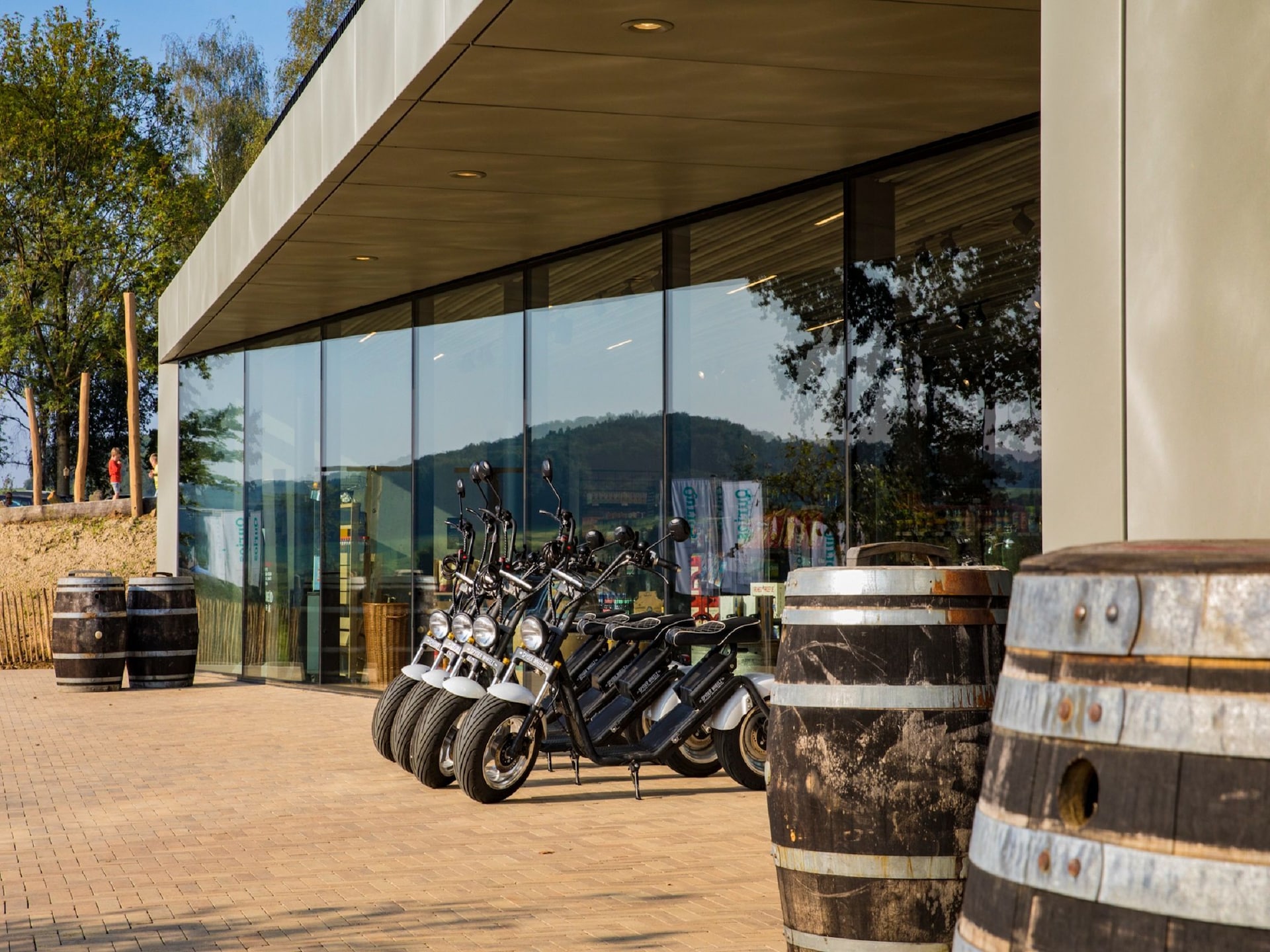 Vrijstaande houten lodge op autovrij vakantiepark in Gulpen - foto 12