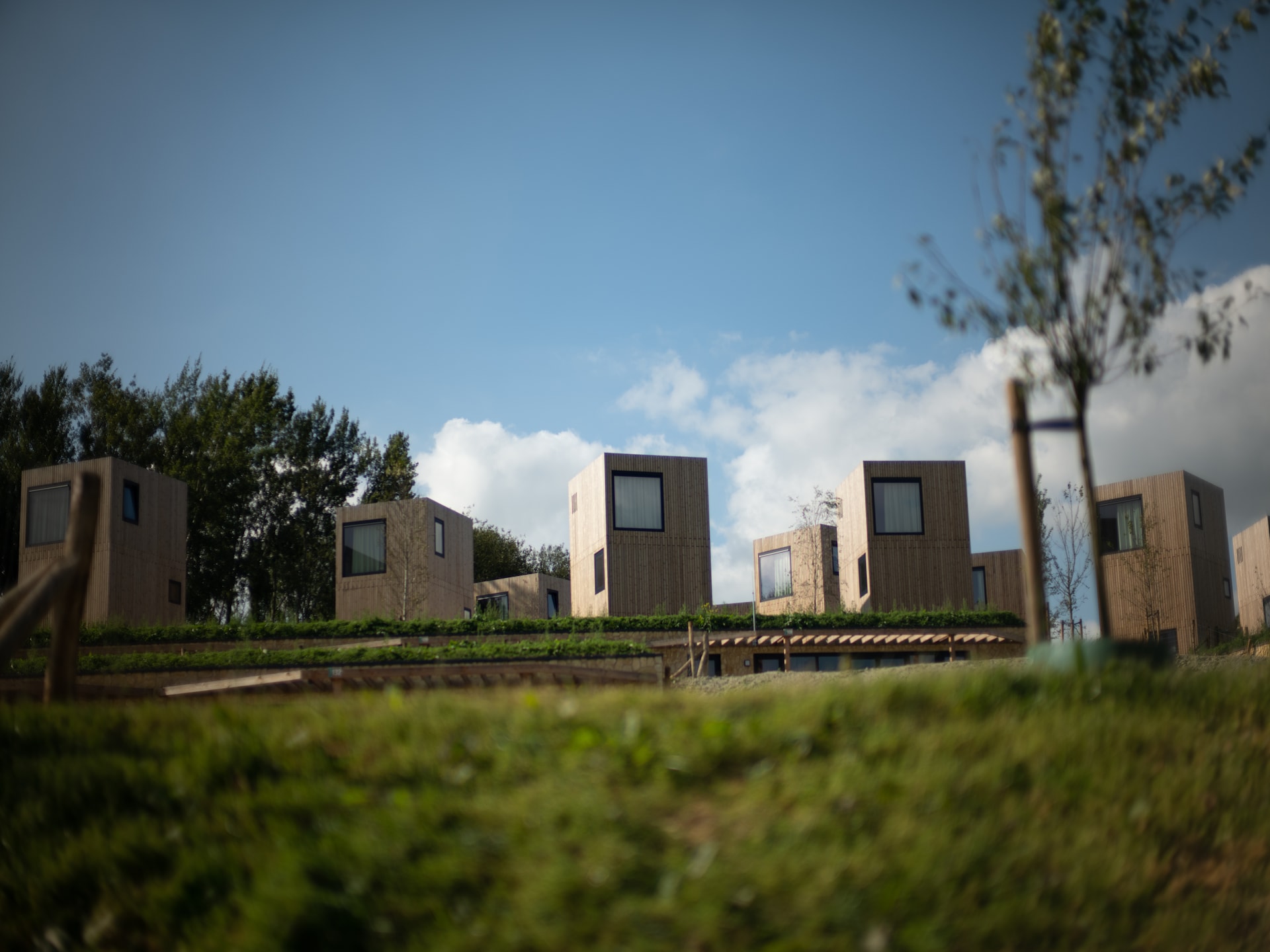 Moderne kubuslodge met panoramisch uitzicht in Resort Gulpen - foto 5