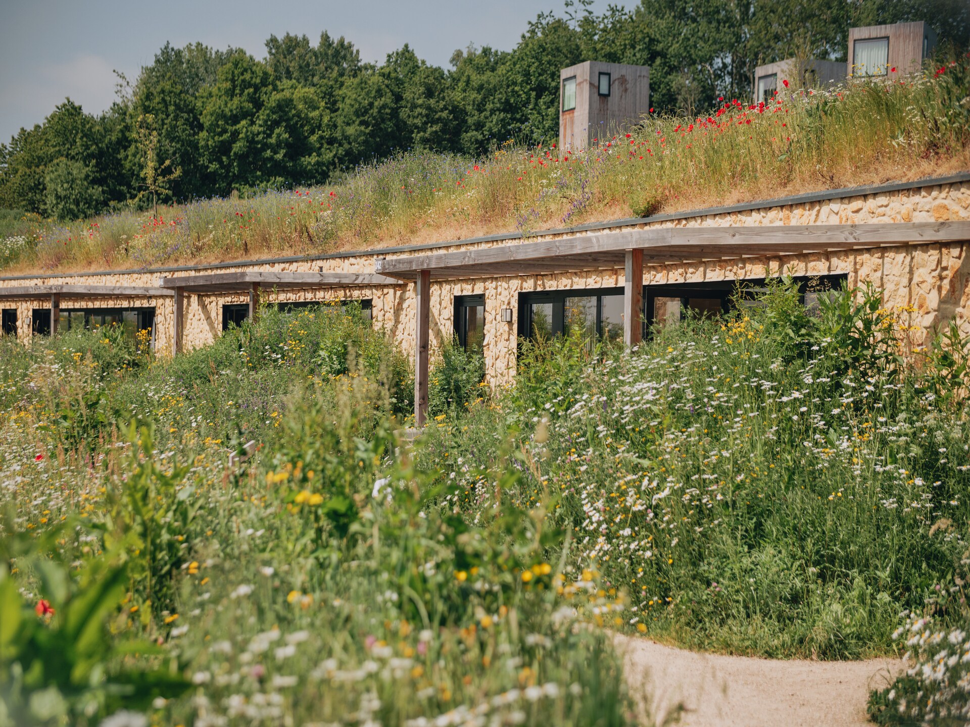 Moderne lodge aan de voet van de Gulpenerberg met tuin en huisdieren welkom - foto 9
