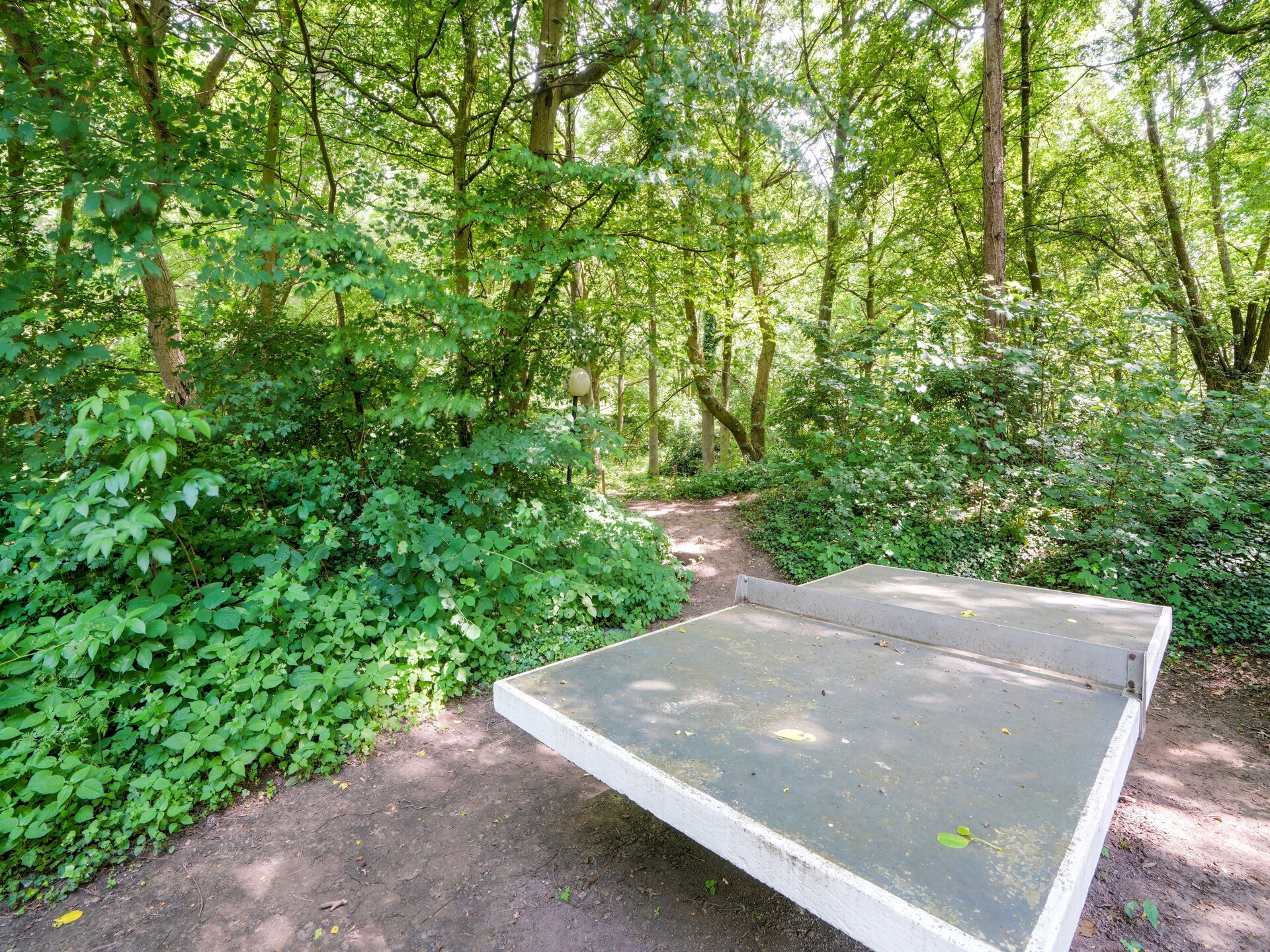 Gezellig familievakantiehuis met privébos en speeltuin in Ulestraten - foto 29