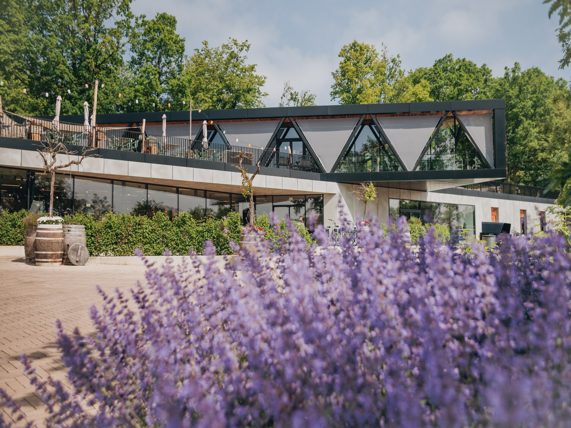 Modern Woodland-lodge in Resort Gulpen met tuin, 6 pers. - foto 18