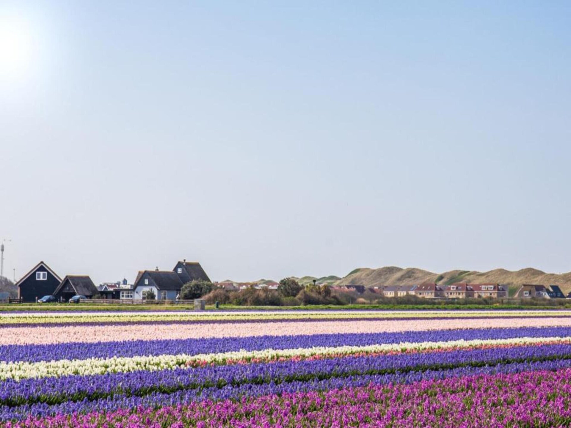 Toegankelijke strandlodge in Callantsoog: 500m van zee, huisdieren welkom - foto 38