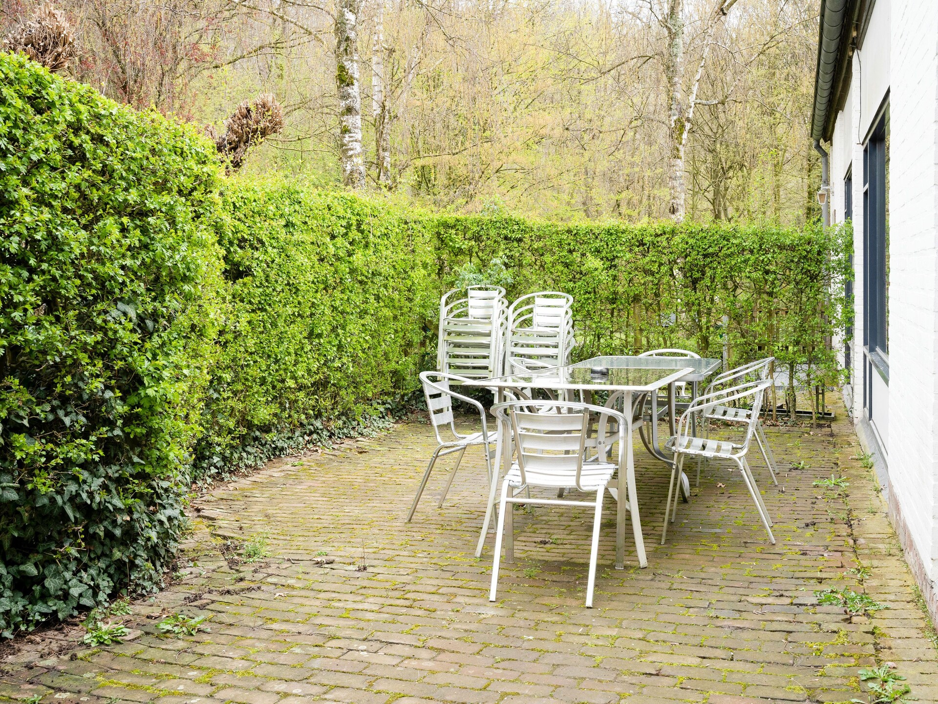 Vliek 14P: Luxe bosvilla voor 14 personen met privébos in Limburg - foto 5