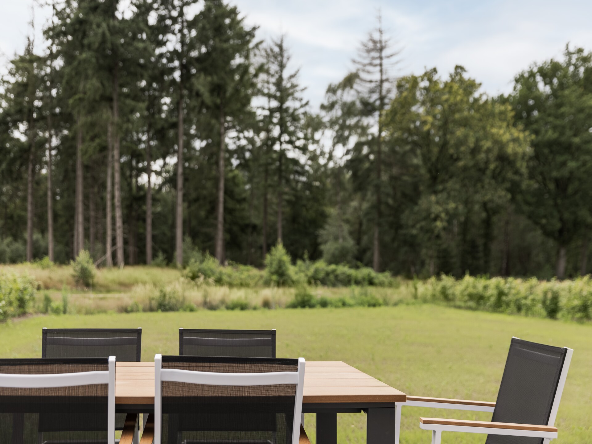 Elegante villa met rieten dak op hondenlief vakantiepark bij Someren - foto 13