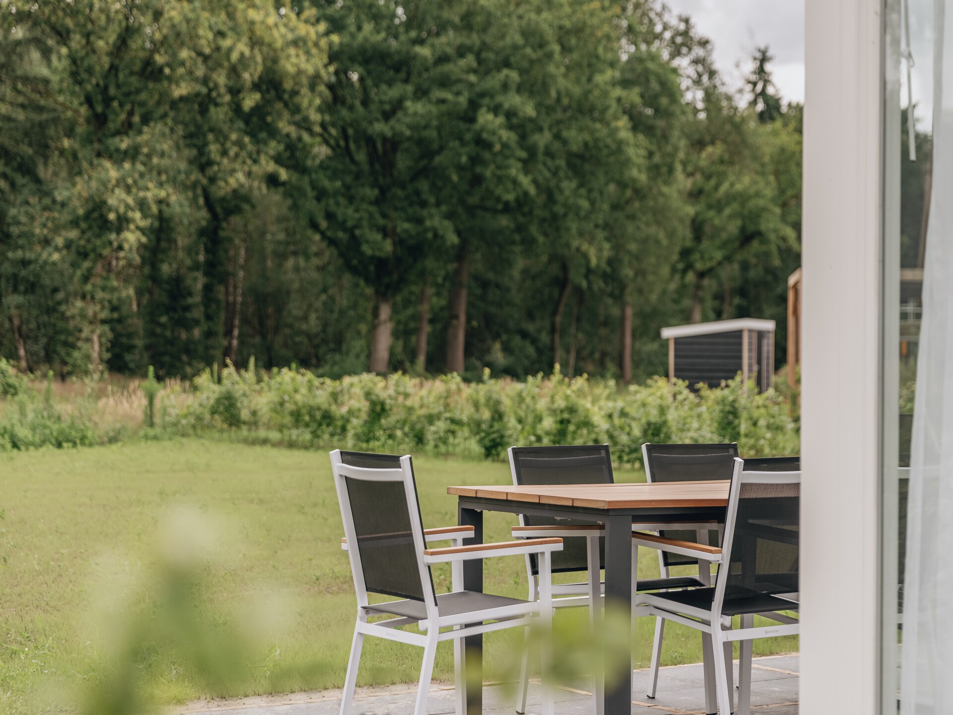 Elegante villa met rieten dak op hondenlief vakantiepark bij Someren - foto 7