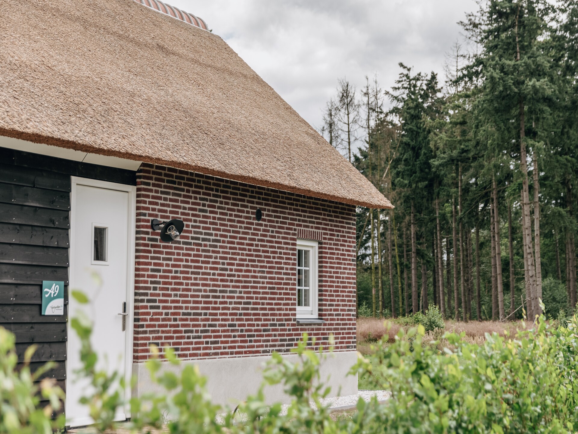 Elegante villa met rieten dak op hondenlief vakantiepark bij Someren - foto 9