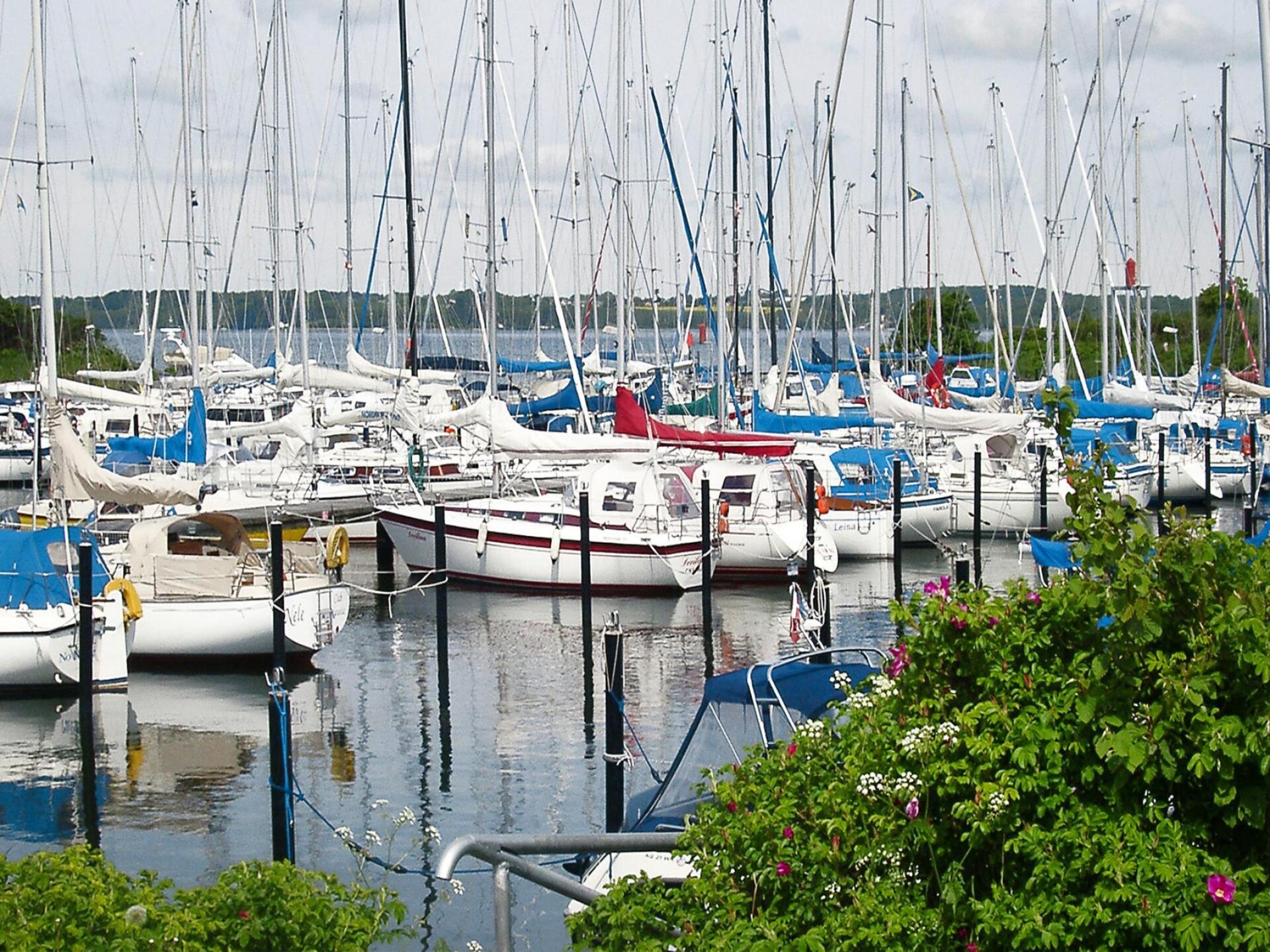 Sfeervol gerestaureerde historische molen bij Flensburg met ruime tuin - foto 22