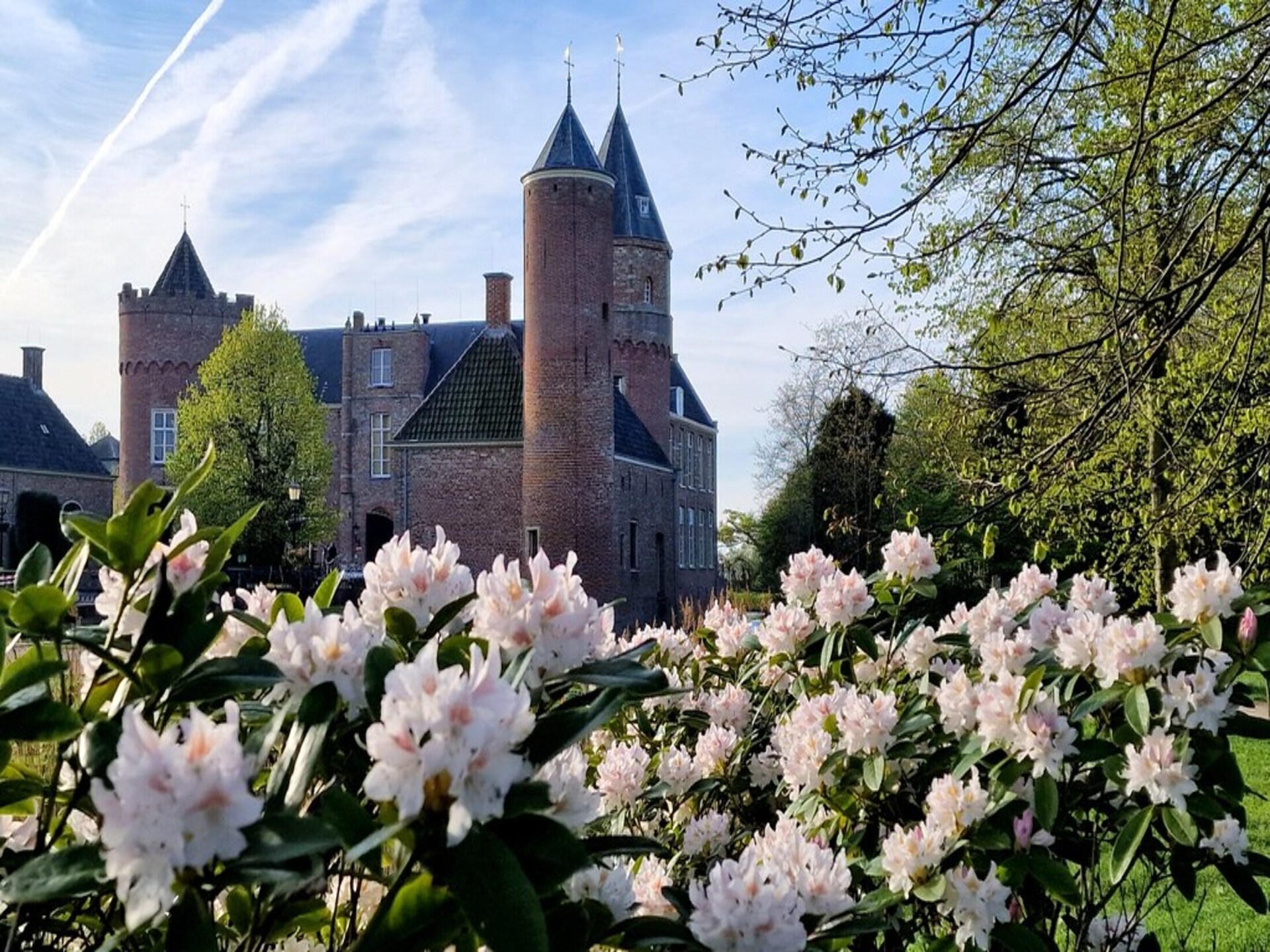 Vrijstaand vakantiehuis bij Biggekerke op 4,5 km van de Zeeuwse kust - foto 29