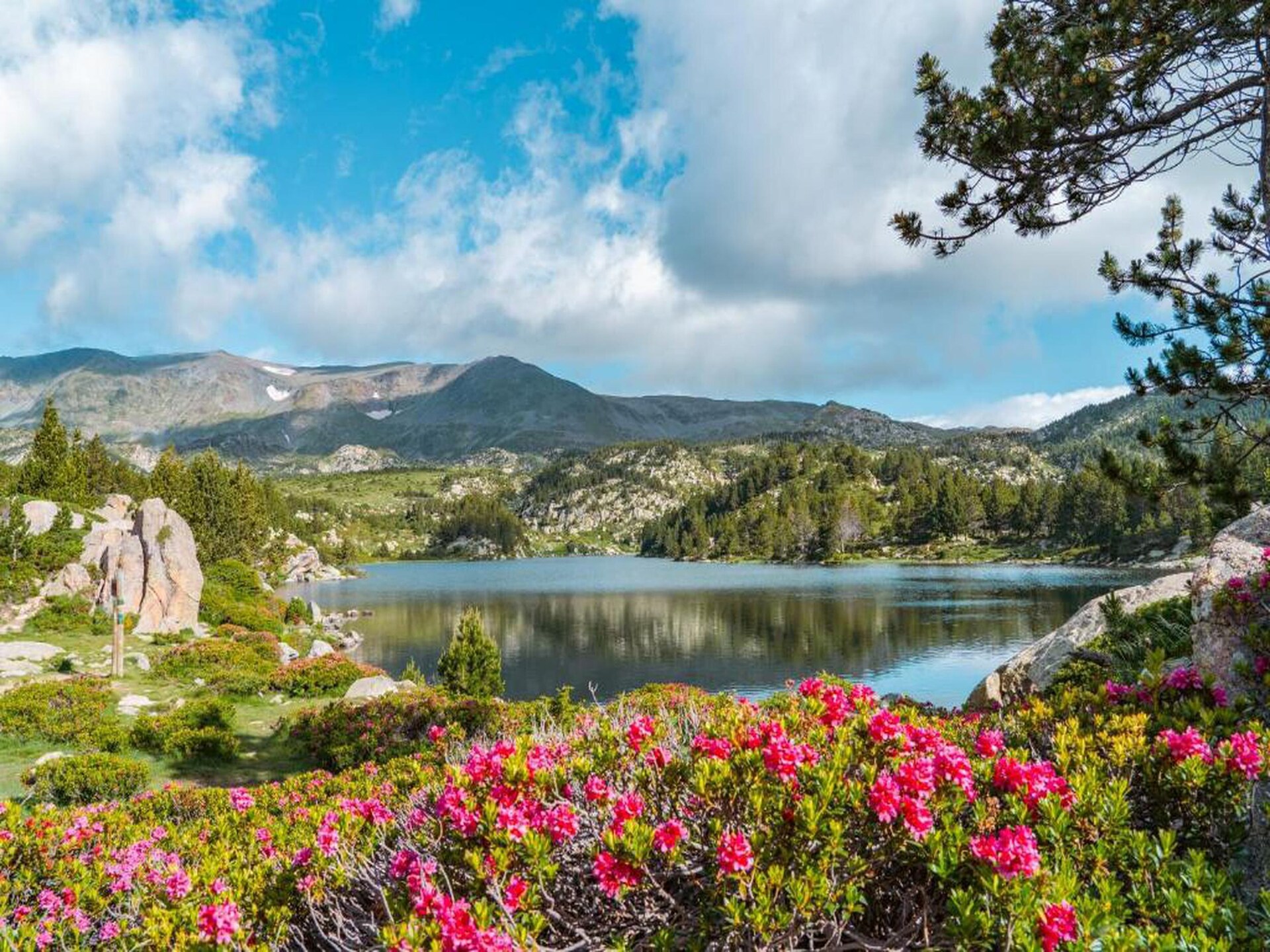 L'Espinet 5: Knus vakantiehuis met Pyreneeën-uitzicht in Quillan - foto 21