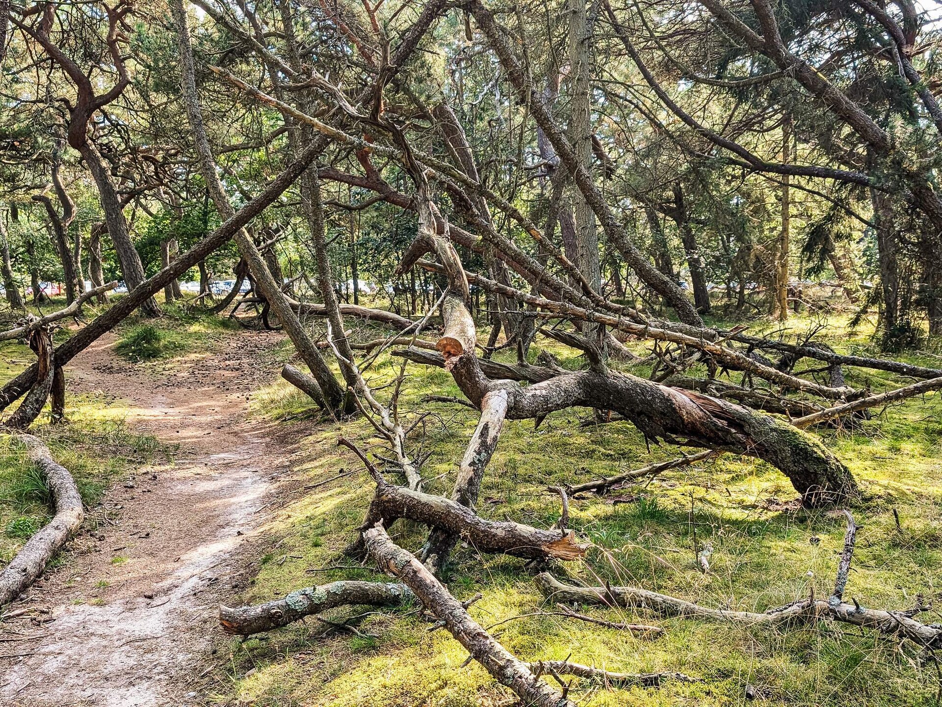 Knus vakantiehuis bij Asserbo met houtkachel, 3 km van zee - foto 41