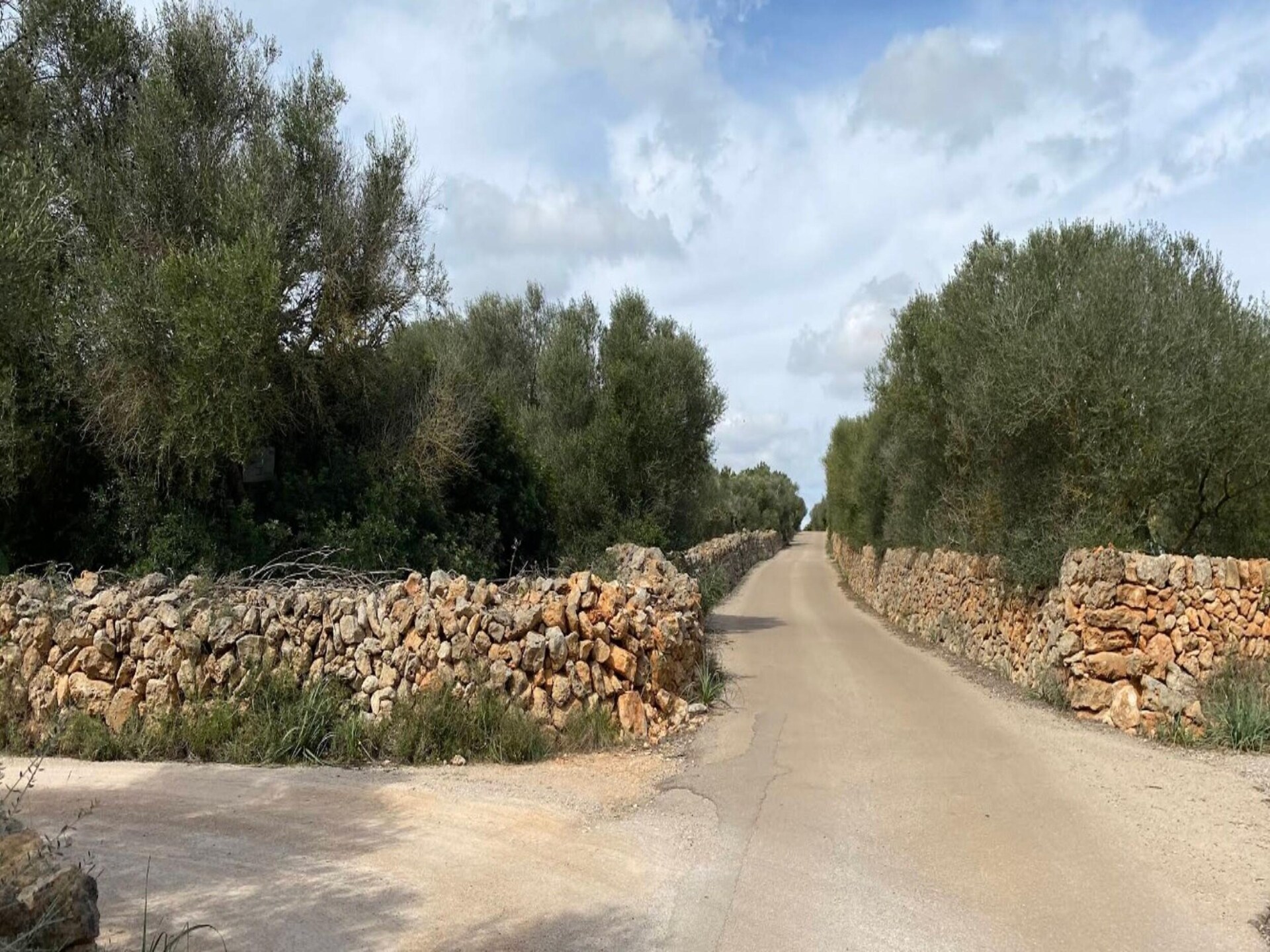 Idyllische villa Can Xesquet met privézwembad bij Ses Salines - foto 4