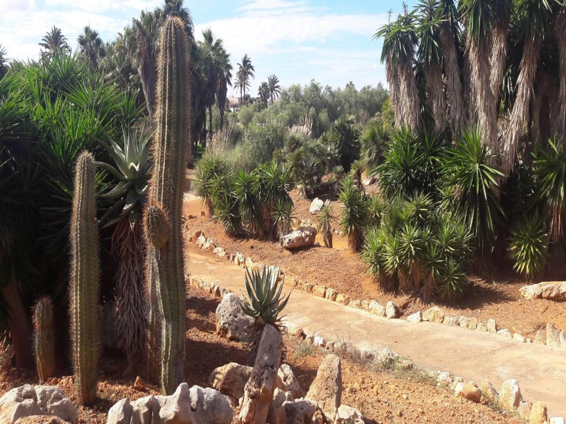 Idyllische villa Can Xesquet met privézwembad bij Ses Salines - foto 2