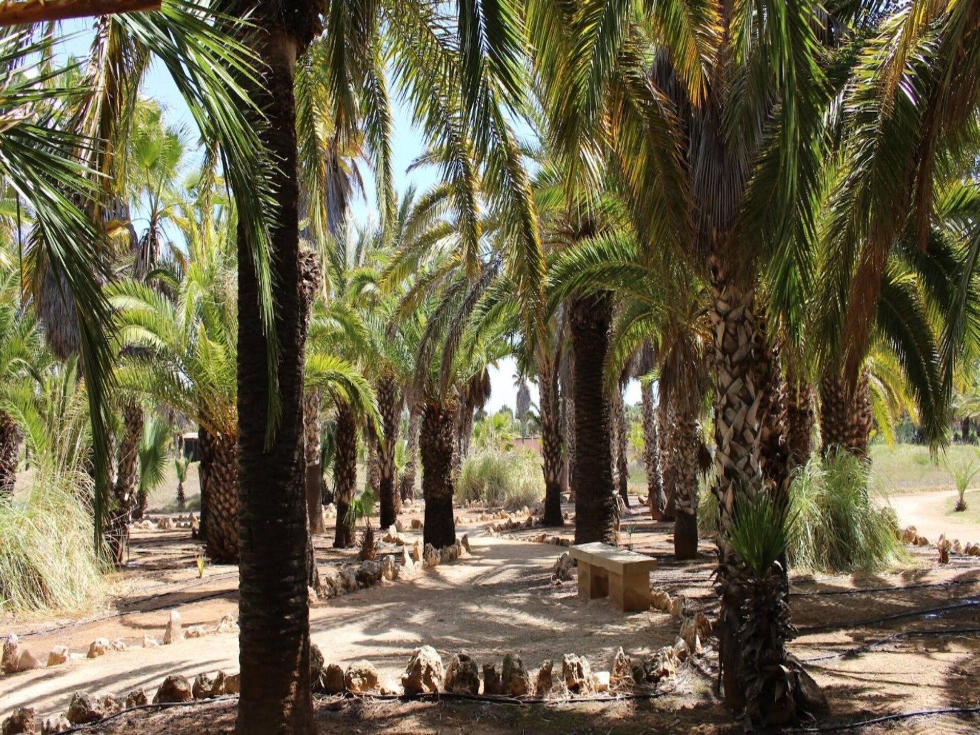 Idyllische villa Can Xesquet met privézwembad bij Ses Salines - foto 5