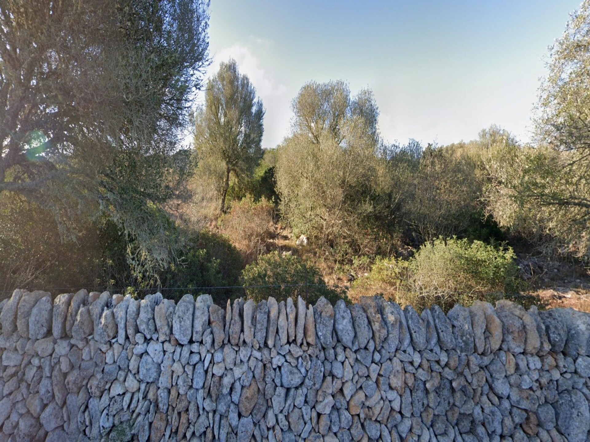 Idyllische villa Can Xesquet met privézwembad bij Ses Salines - foto 3