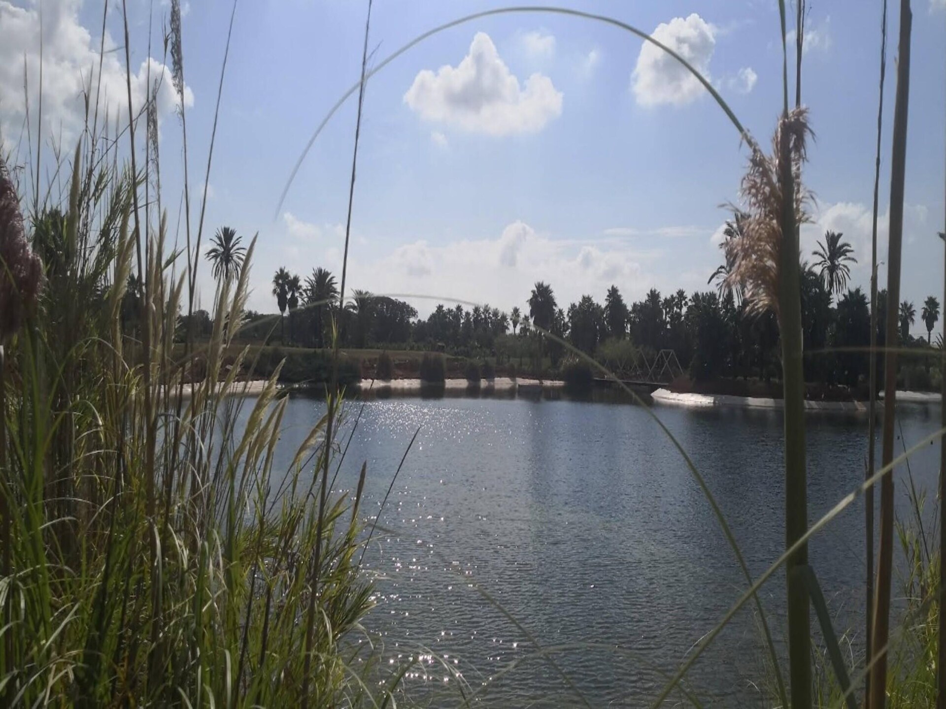 Idyllische villa Can Xesquet met privézwembad bij Ses Salines - foto 6