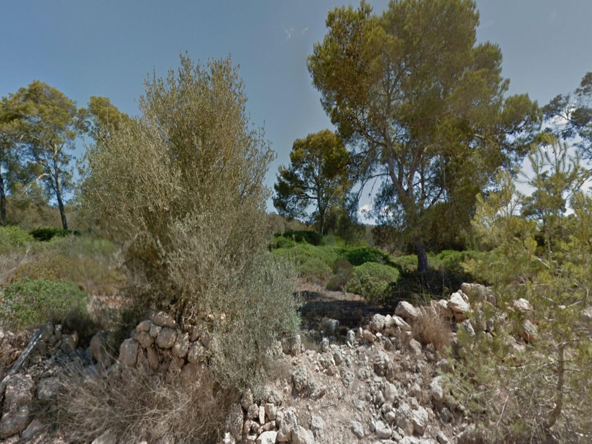 Idyllische villa Can Xesquet met privézwembad bij Ses Salines - foto 7