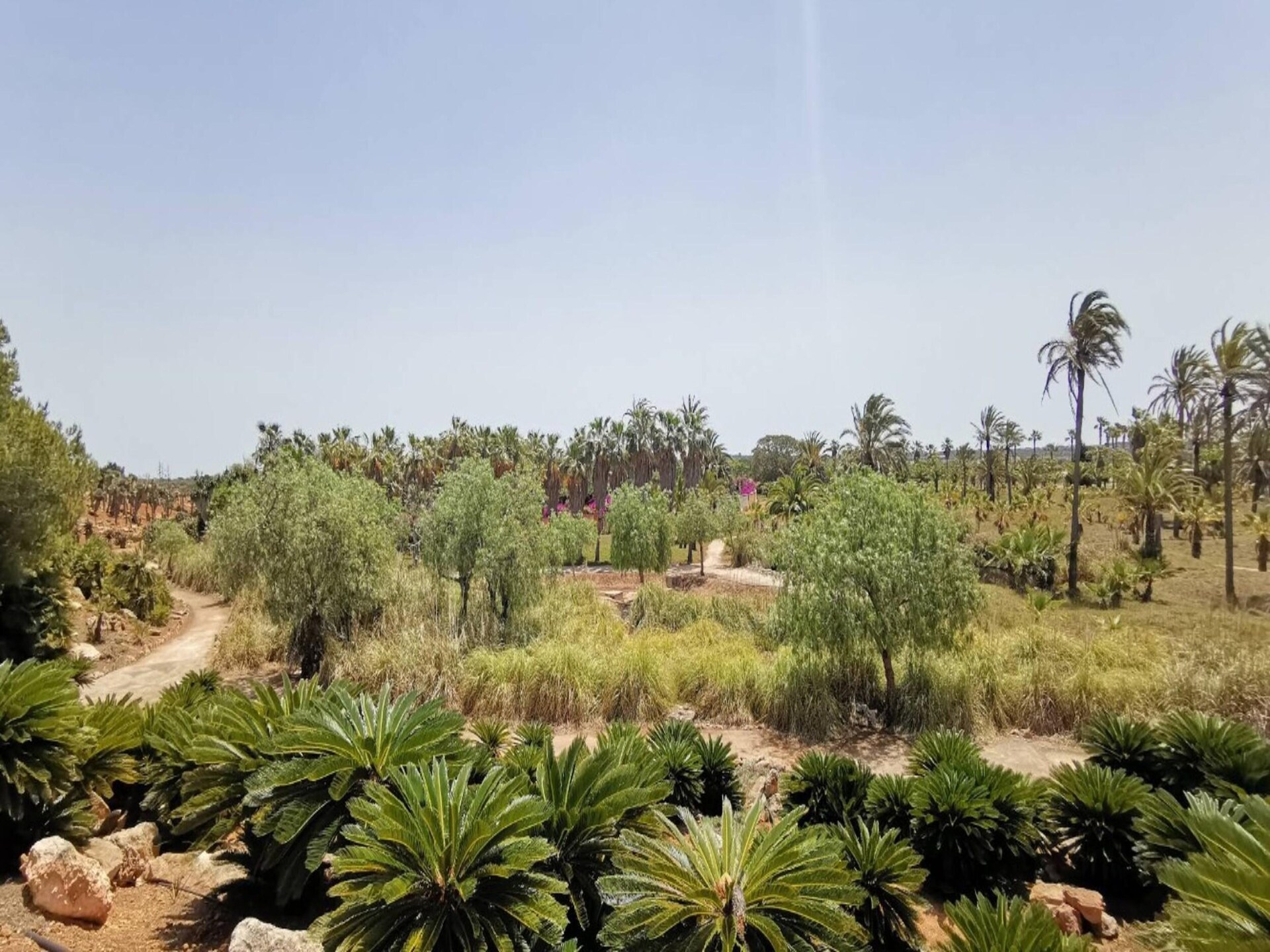 Idyllische villa Can Xesquet met privézwembad bij Ses Salines - foto 9