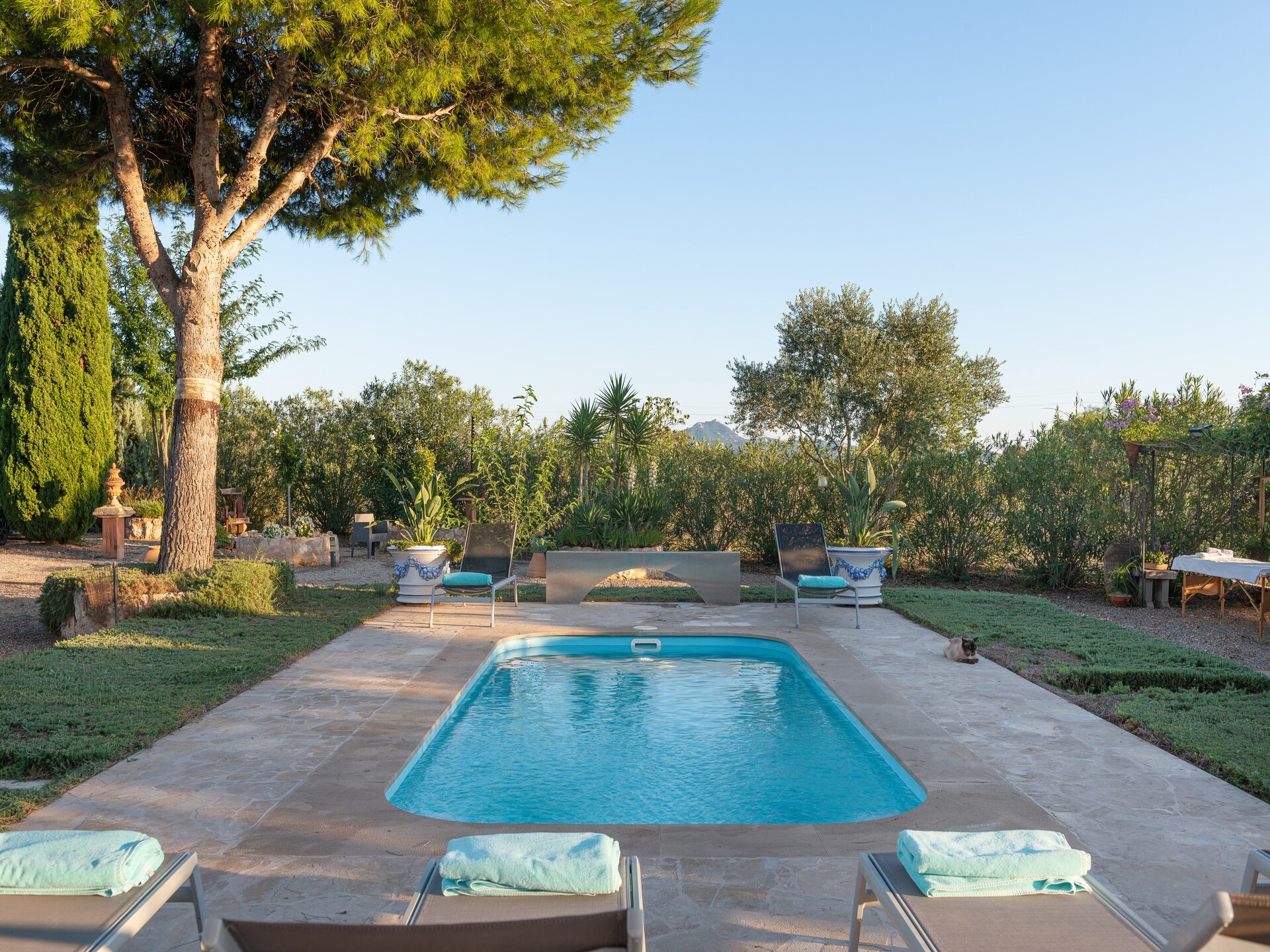 Villa Banc Doli in Manacor met privézwembad voor 6 personen - foto 9