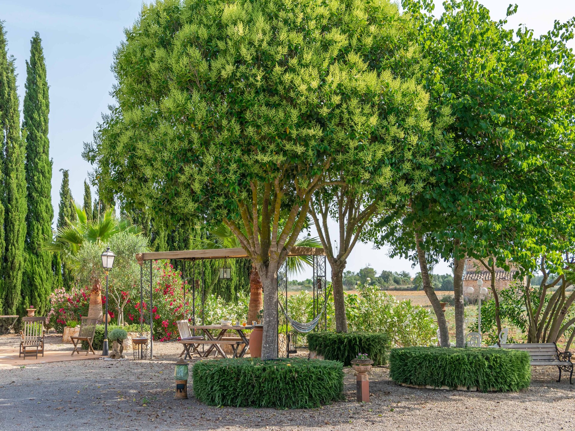 Villa Banc Doli in Manacor met privézwembad voor 6 personen - foto 33