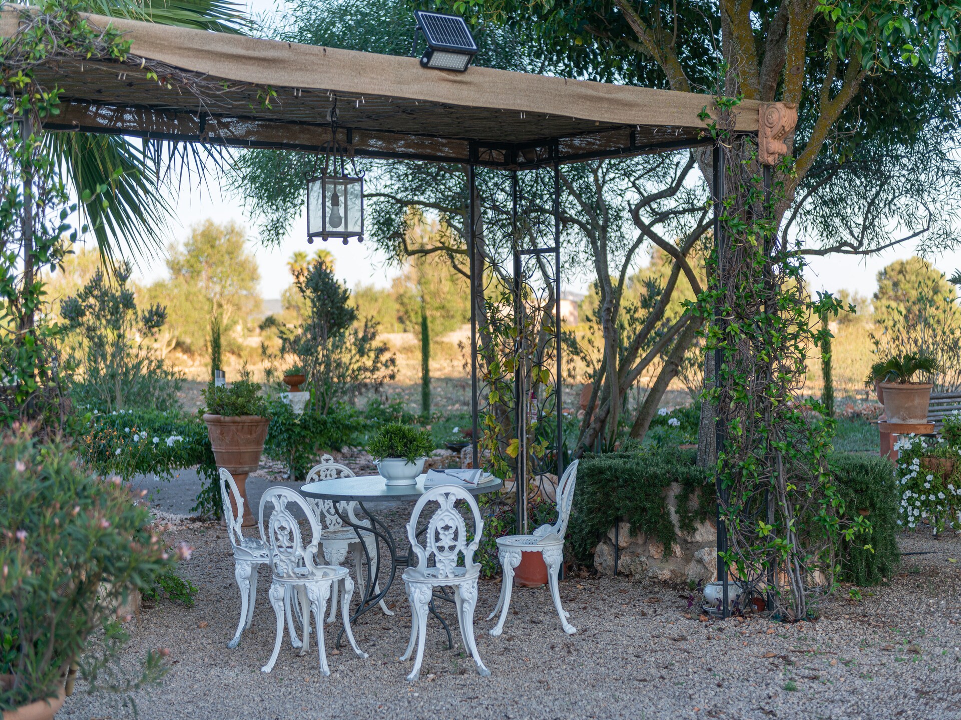 Villa Banc Doli in Manacor met privézwembad voor 6 personen - foto 32