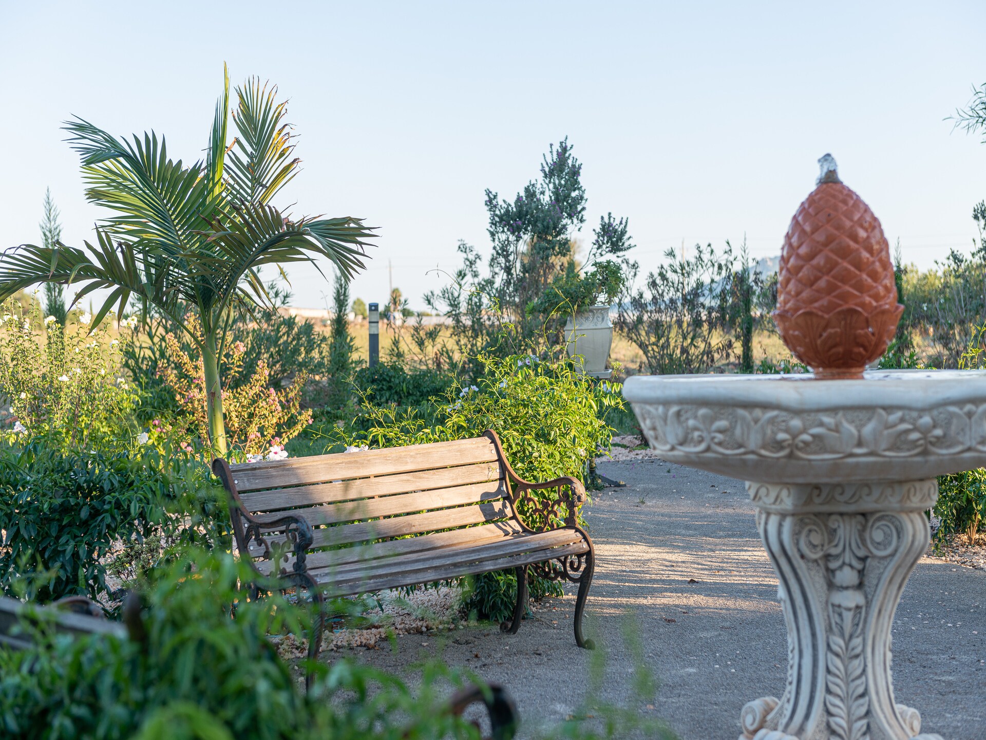 Villa Banc Doli in Manacor met privézwembad voor 6 personen - foto 44
