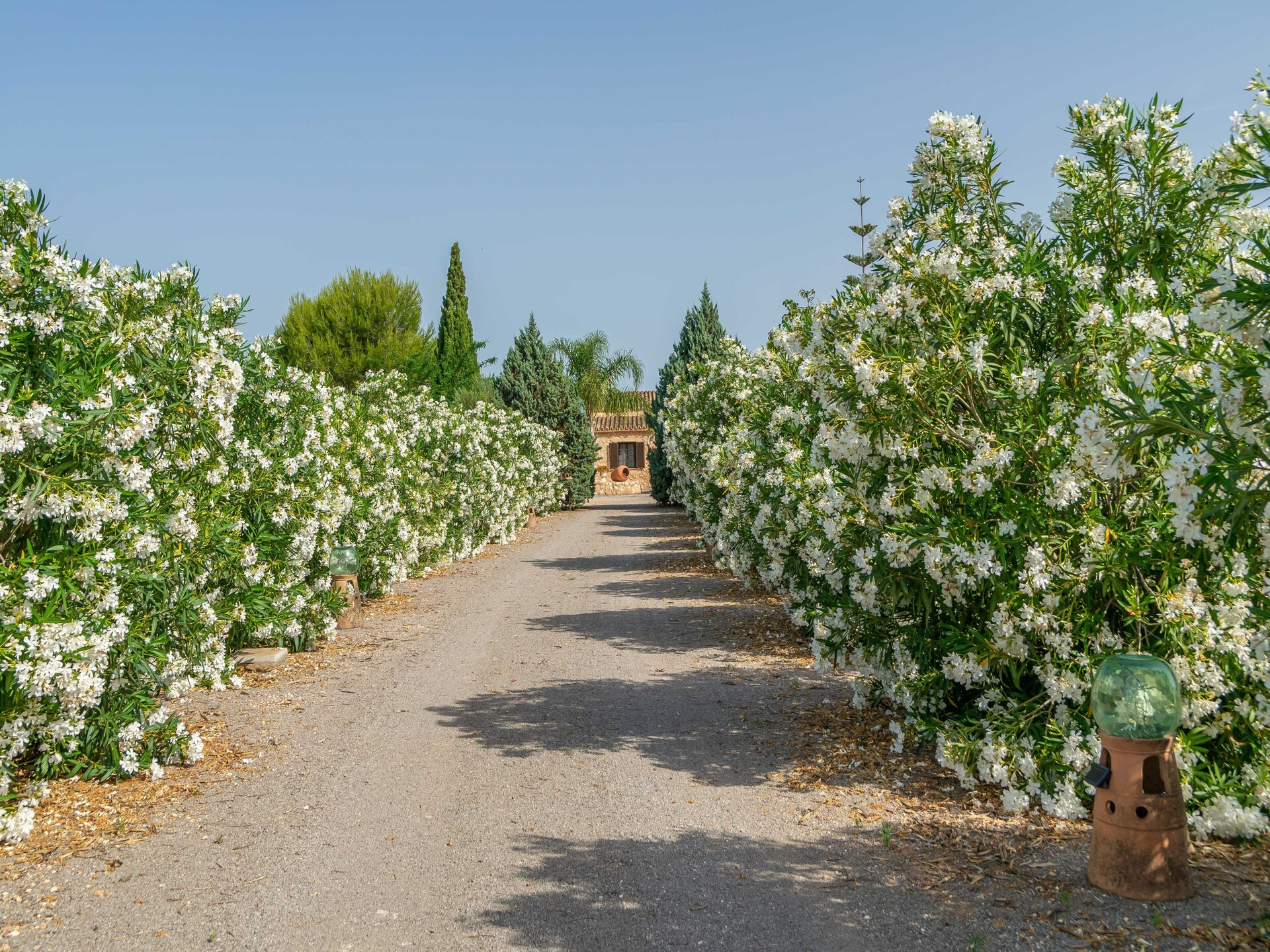 Villa Banc Doli in Manacor met privézwembad voor 6 personen - foto 42