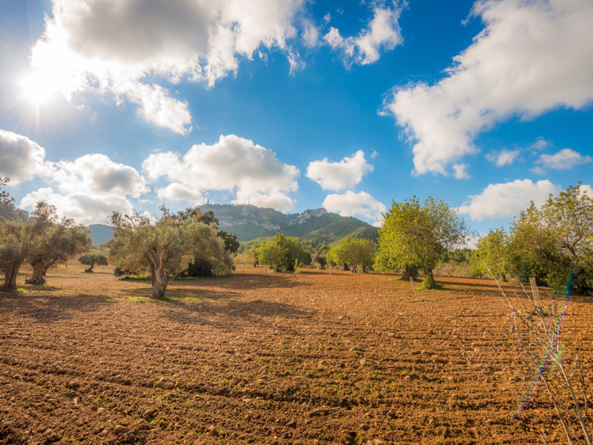 Villa Bonavista in Felanitx: Rust en uitzicht in Zuid-Mallorca - foto 25