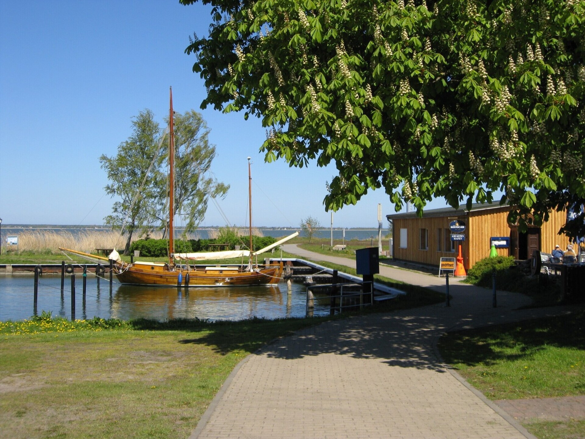 Luxe rietgedekt vakantiehuis met sauna op 100 meter van de lagune - foto 28