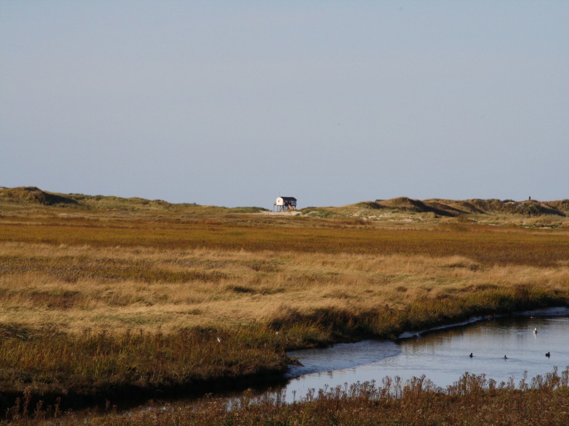 6-persoons vakantiehuis in St. Peter-Ording nabij de zee - foto 20