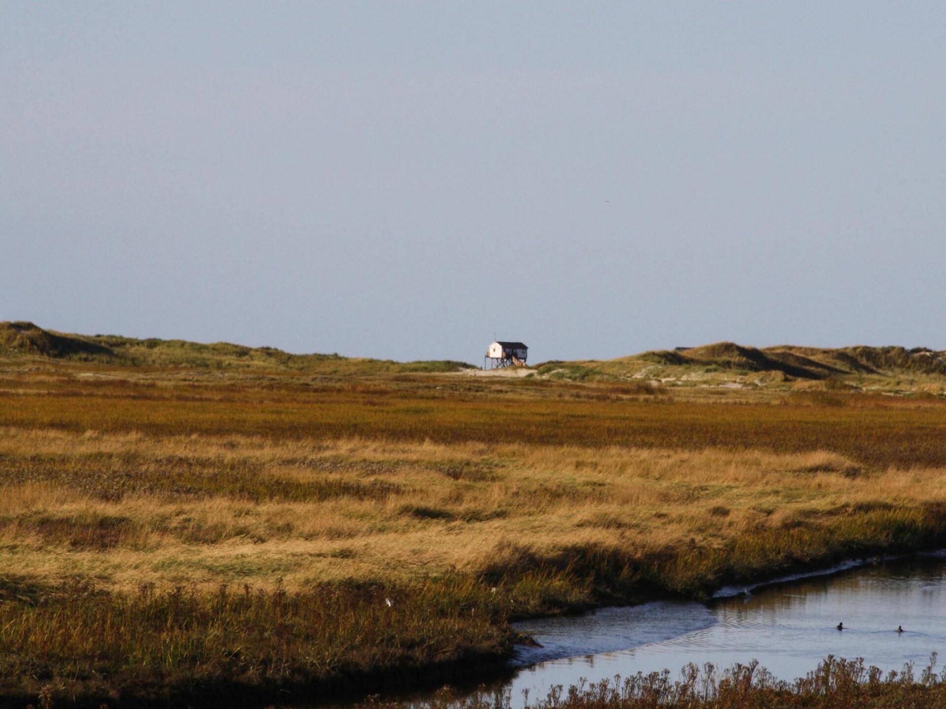 Rustiek Vakantiehuis Deichblick voor 2 personen bij St. Peter-Ording - foto 18