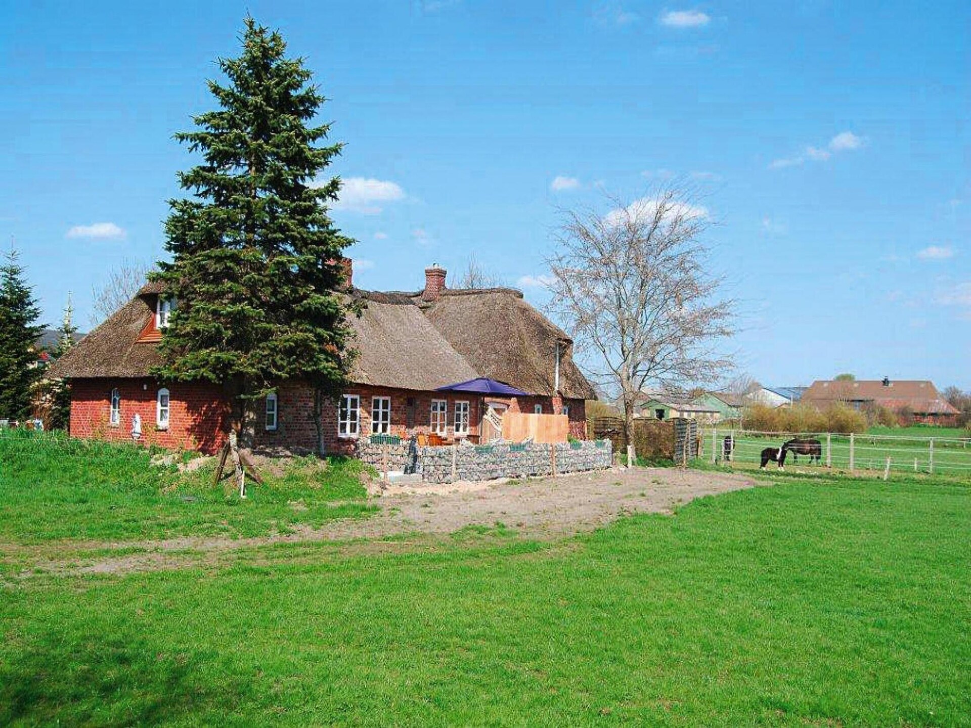 Fries rietgedekt huis nabij Husum met zonneterras - foto 1
