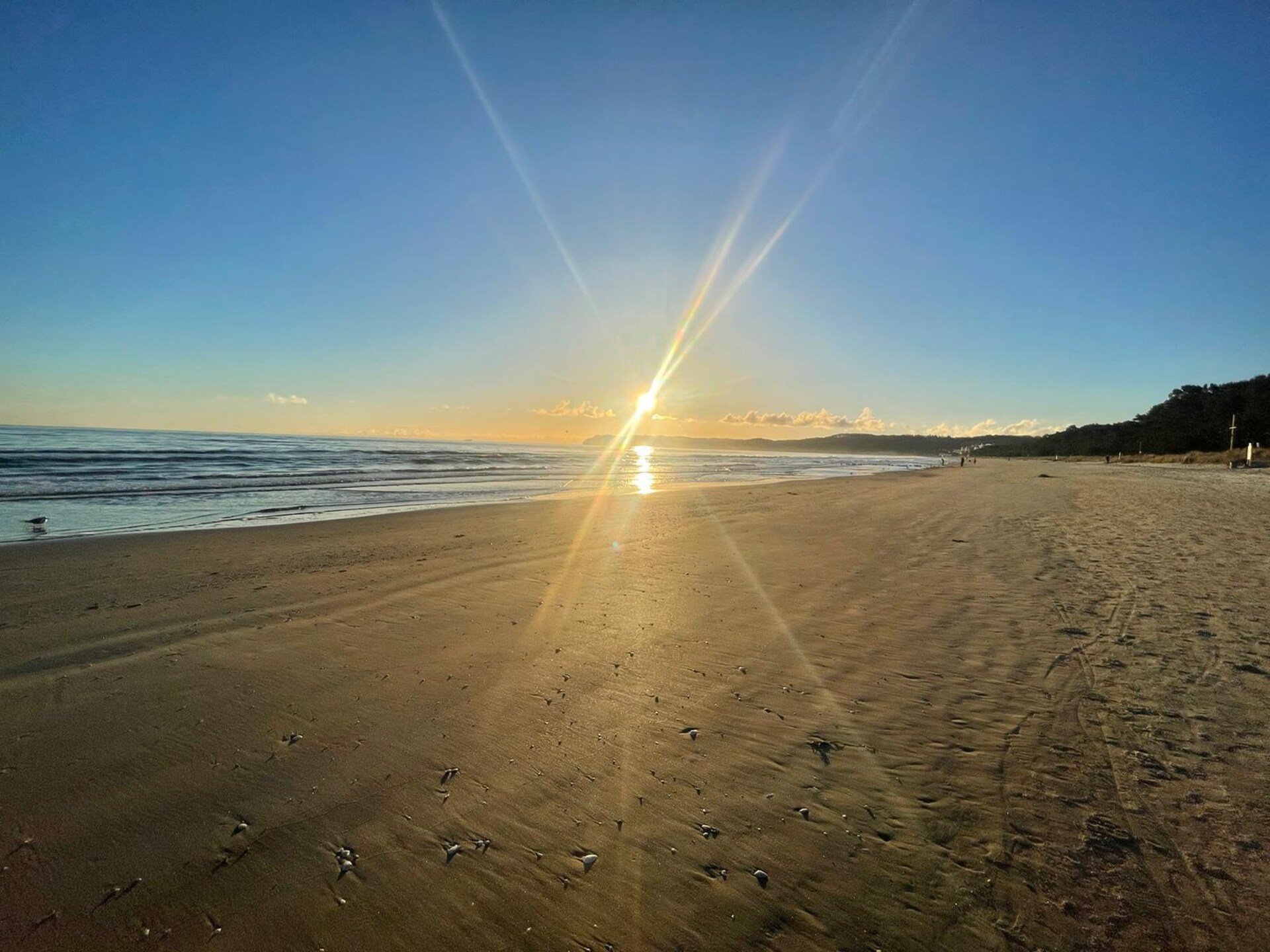 Licht appartement op 200 meter van het strand in Binz, met balkon en wifi - foto 46
